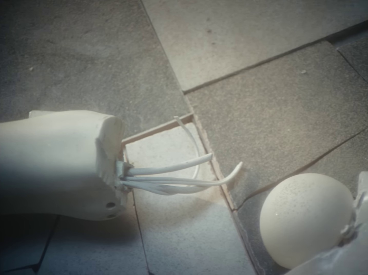 dazies (2023) —  shot,  lighting