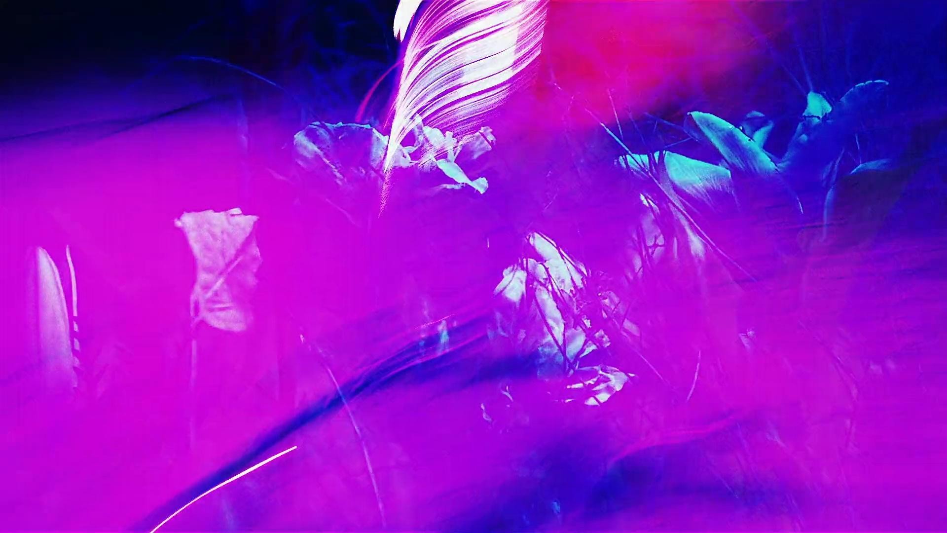 Fenty x Savage Vol. 4 | Lara (2022) —  shot,  lighting