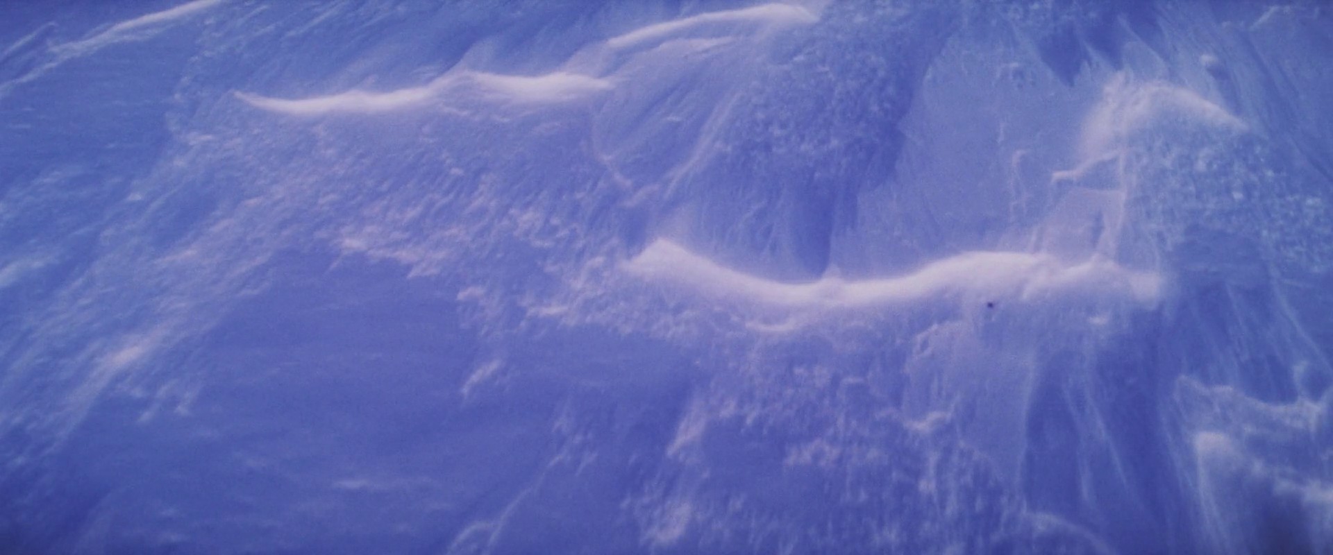 Sarah (2017) —  shot,  lighting