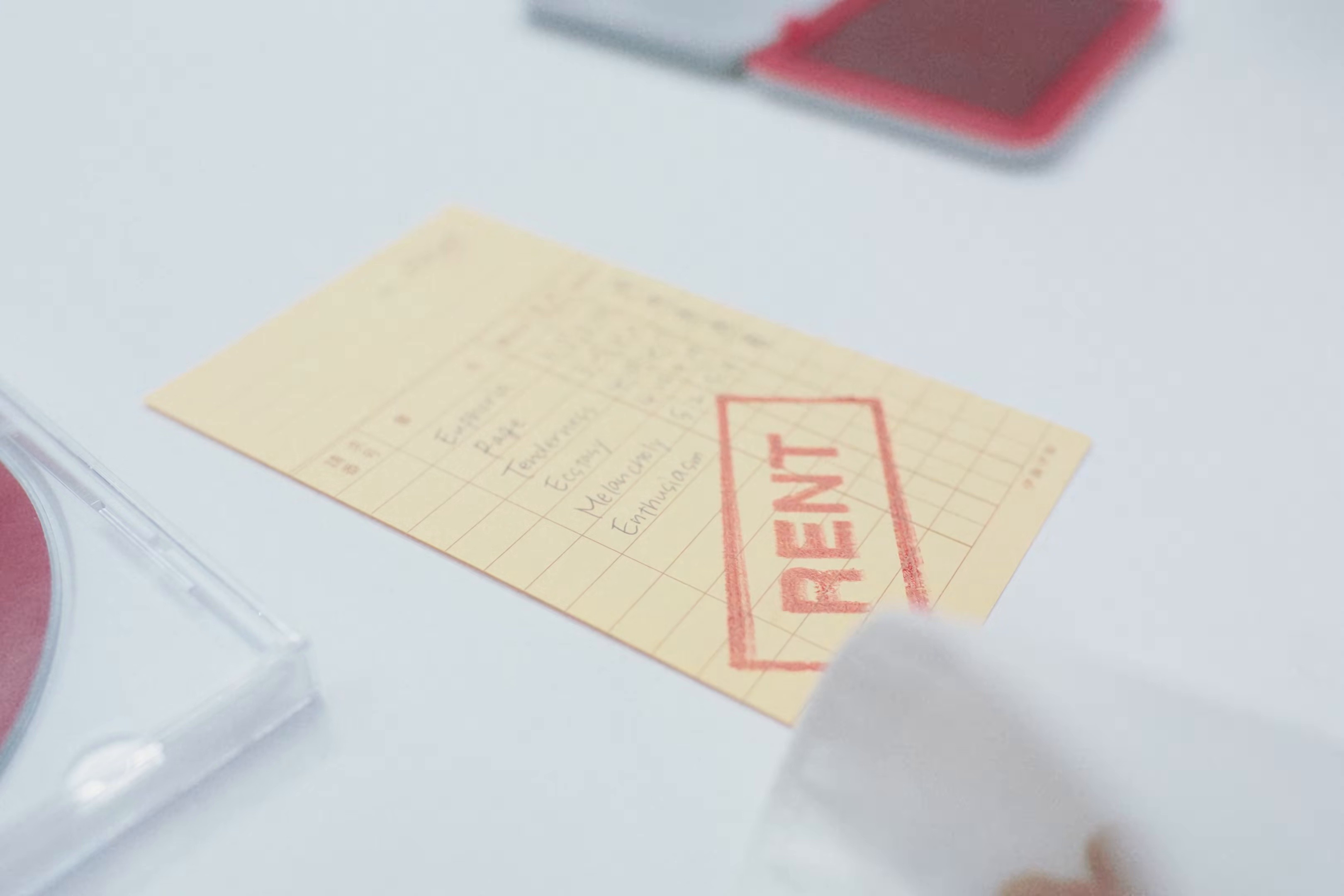 Mental Rental (2026) —  shot,  lighting