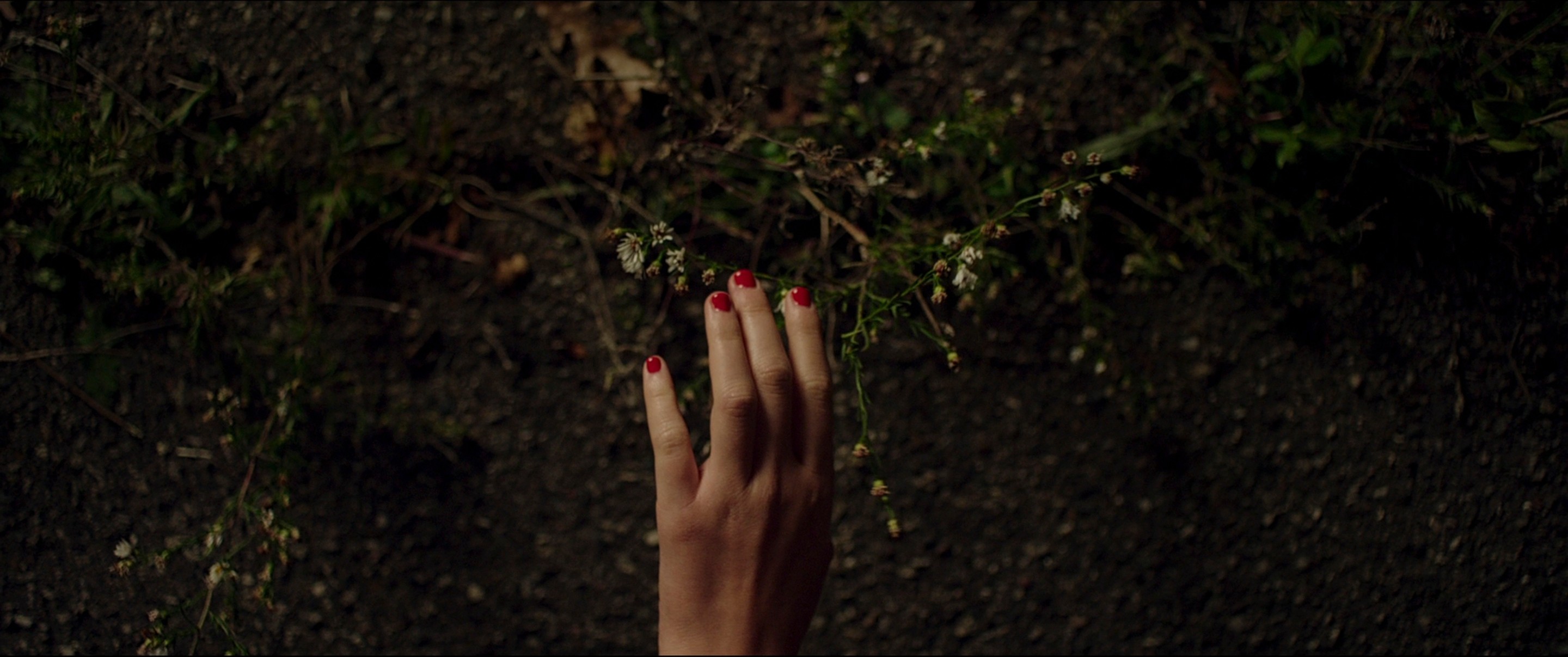 It Follows (2014) —  shot,  lighting