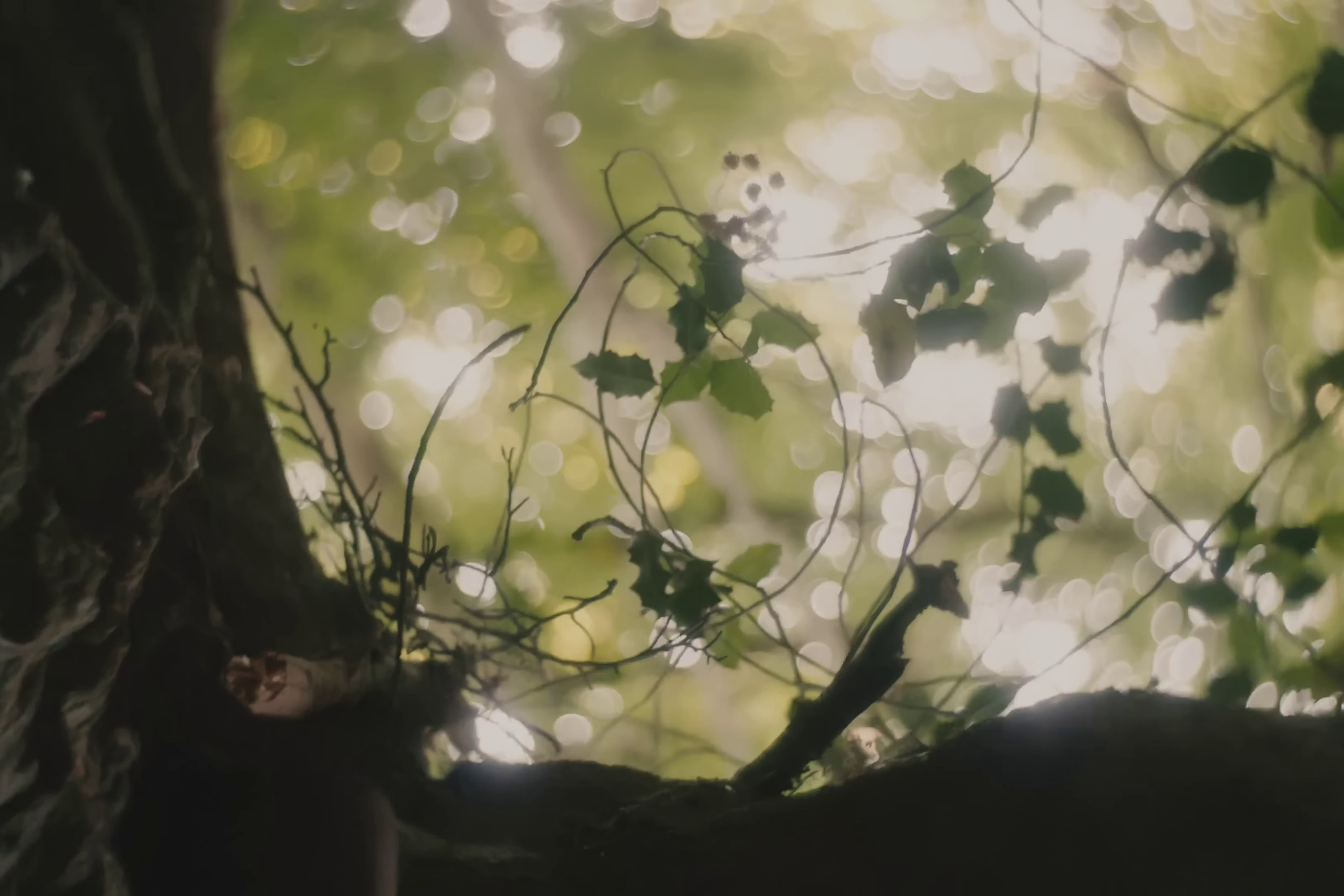 Jah (2023) —  shot,  lighting