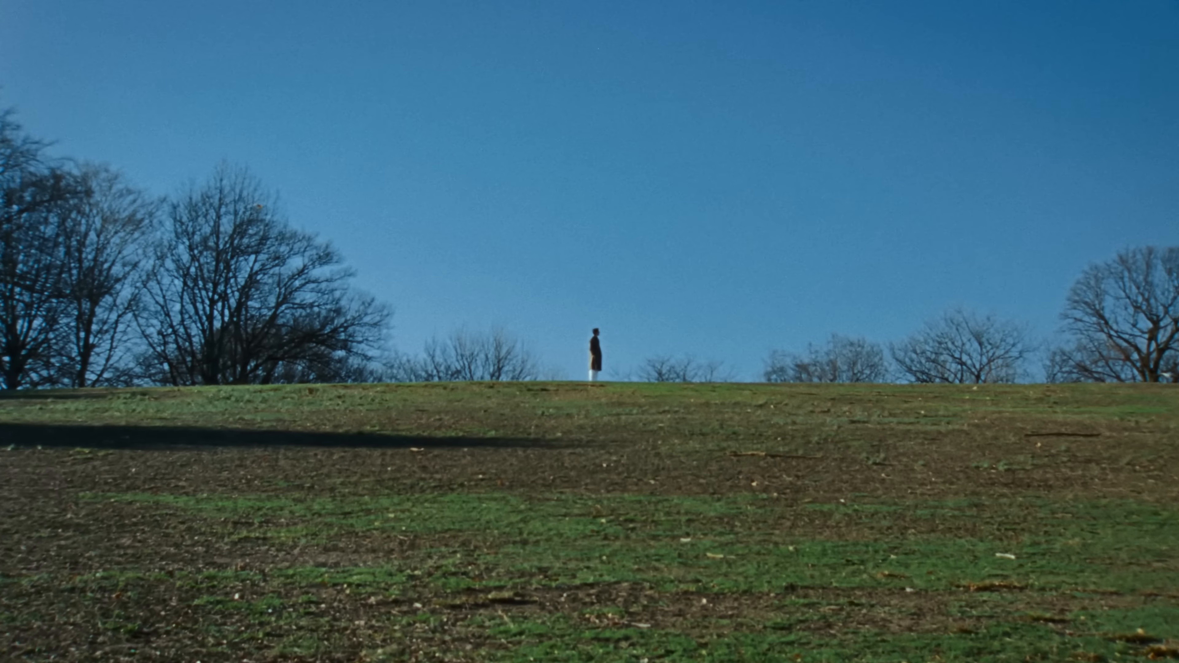 Suzanne (2025) —  shot,  lighting