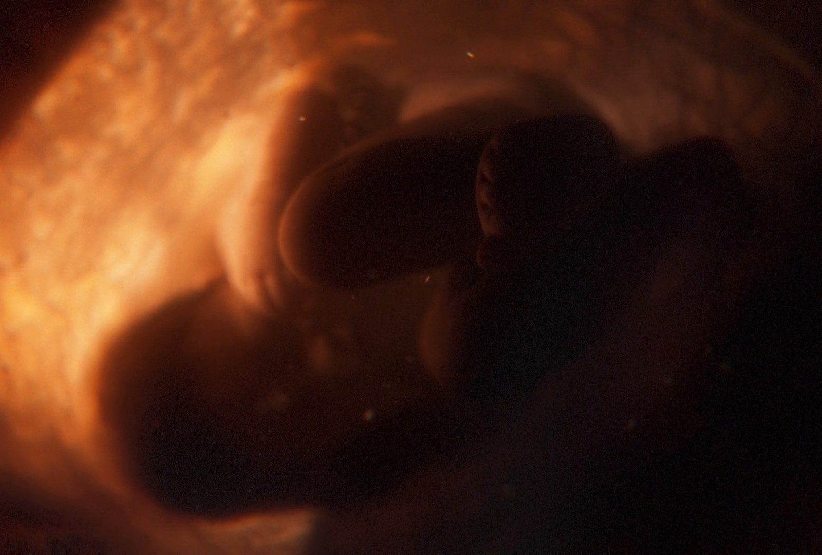 Bugaboo - "Designed for the Future" (2024) —  shot,  lighting