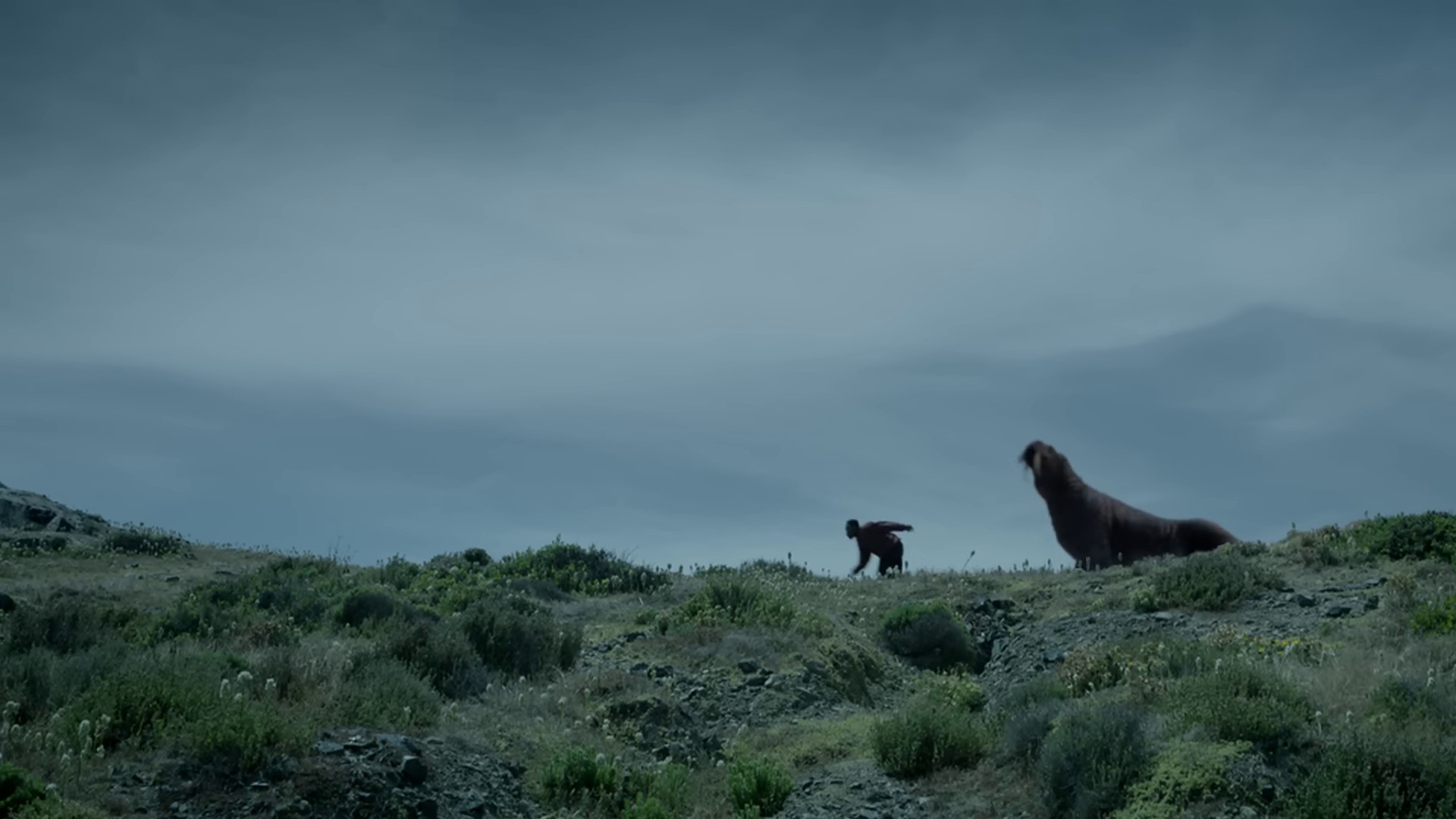 Beyond The Sea (2024) —  shot,  lighting