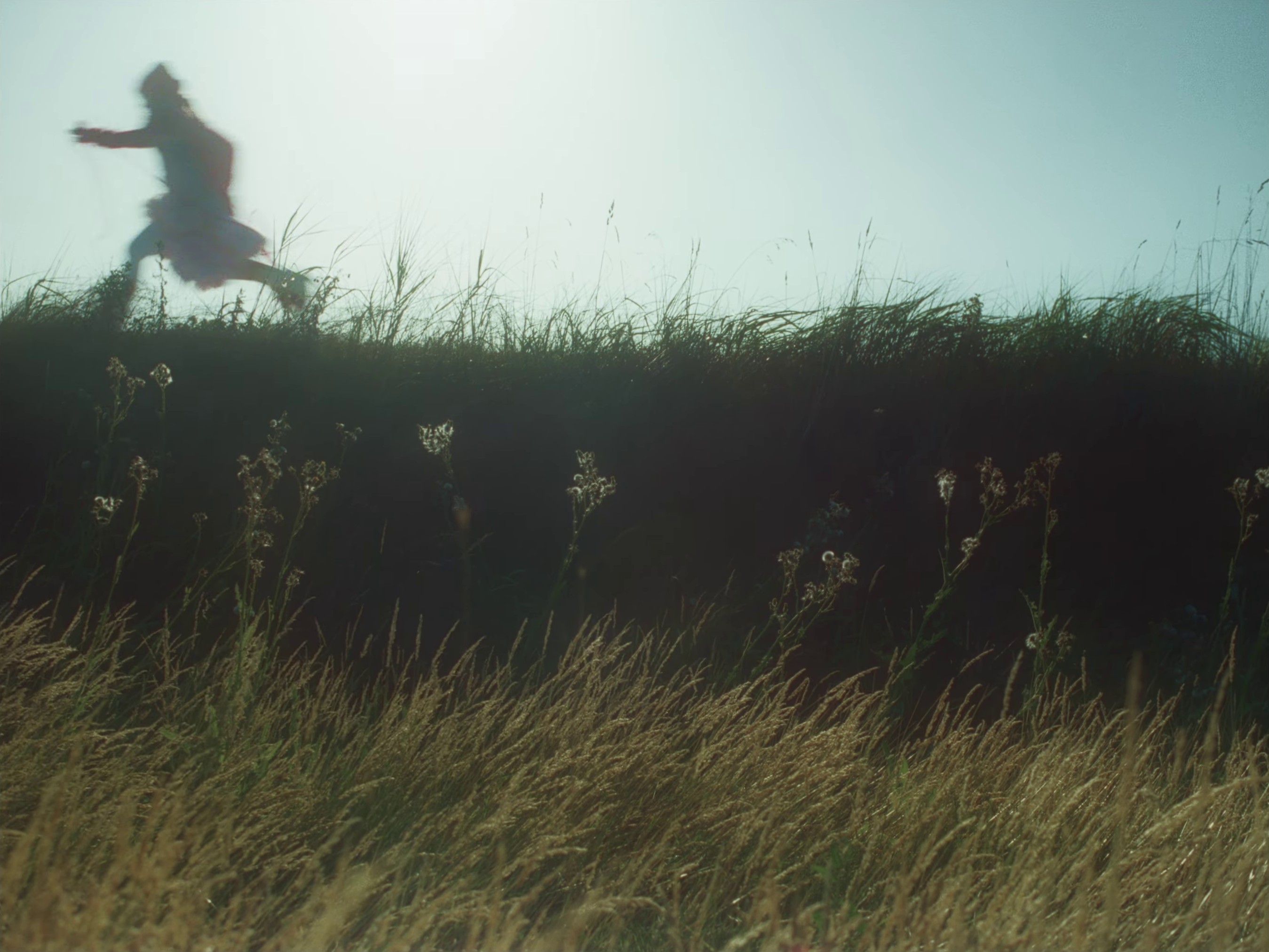 AA BOUQUET FOR YOUR 180 FACE (2024) —  shot,  lighting