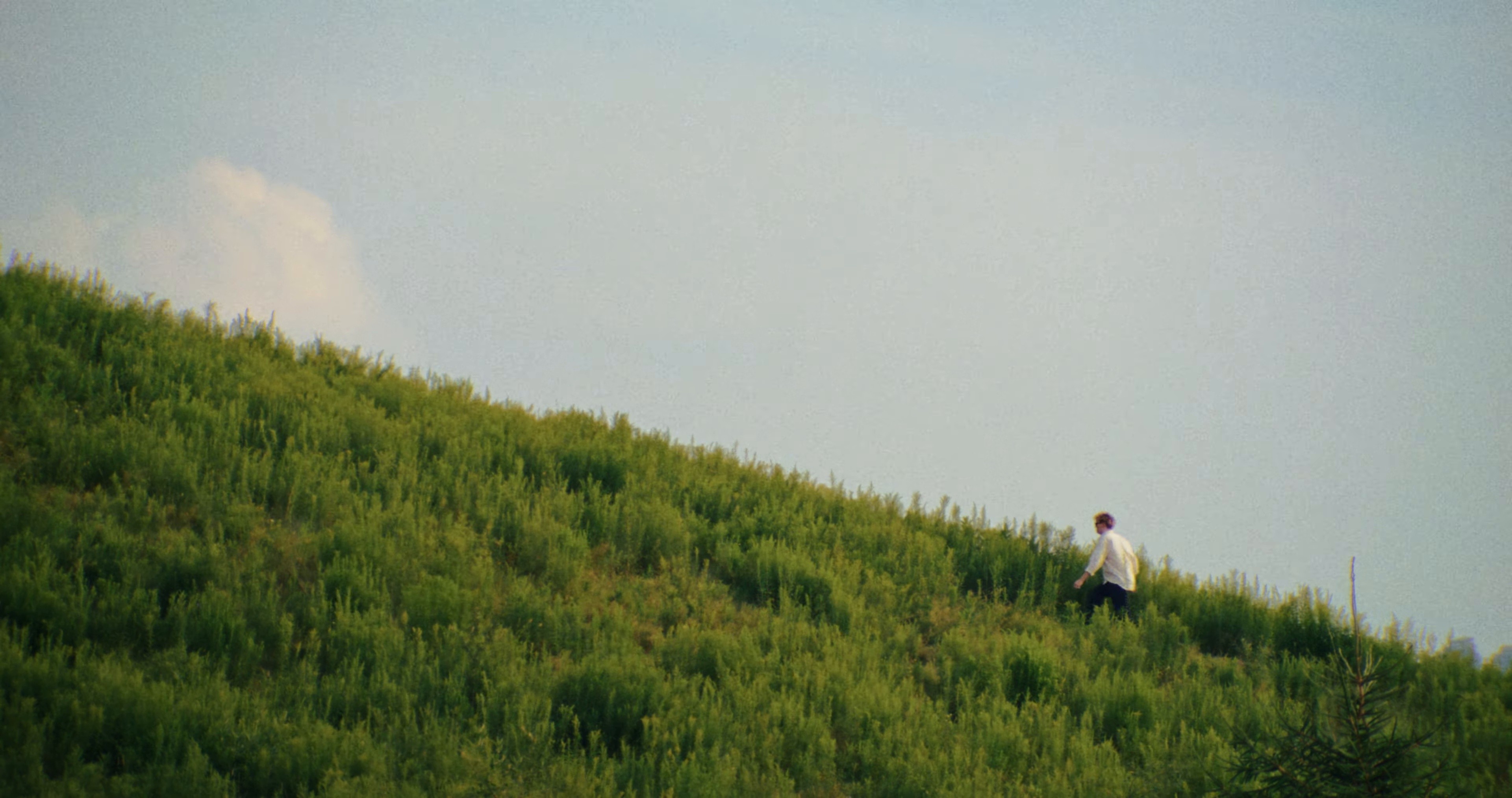 GODDAMN! (2025) —  shot,  lighting