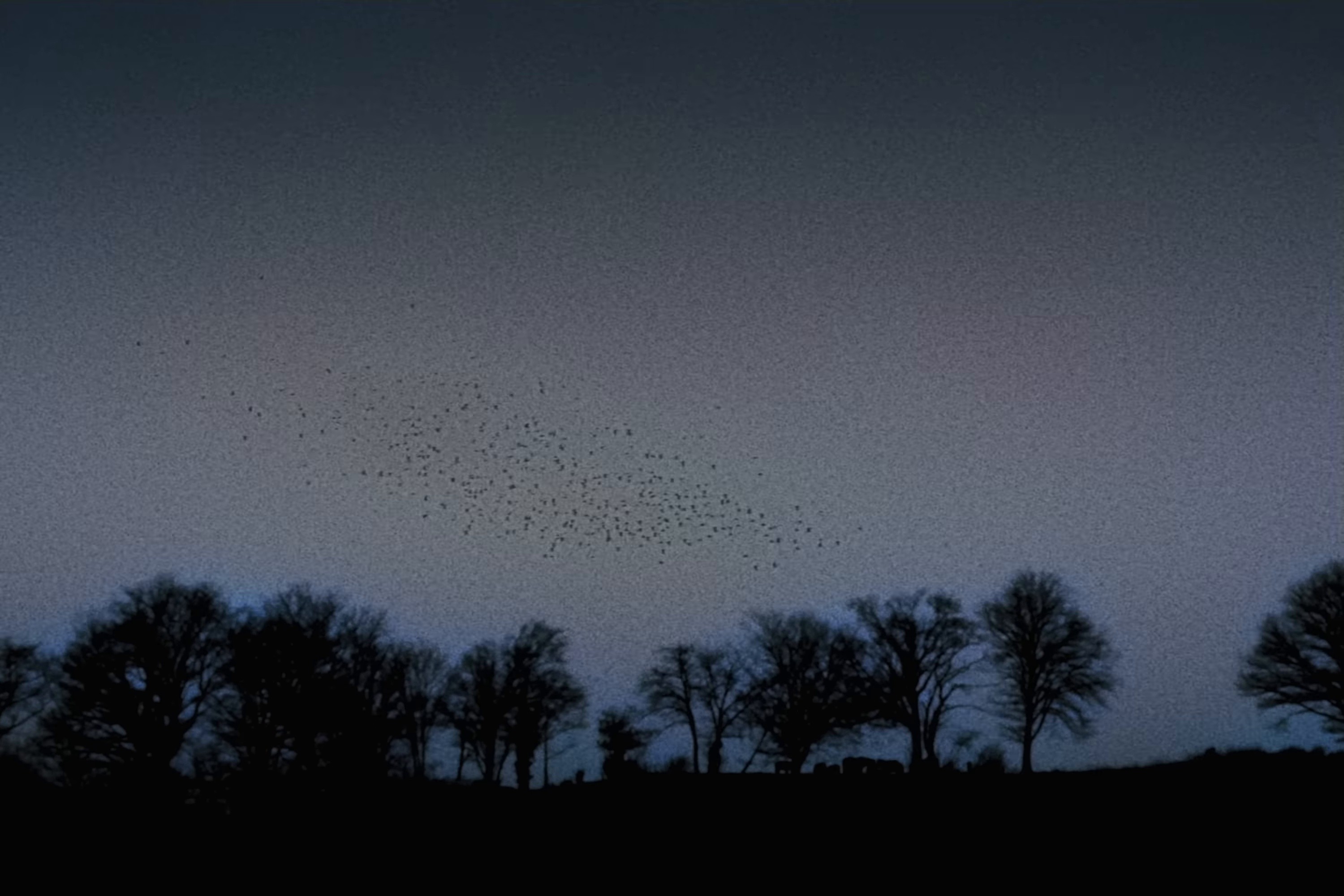 dope (2025) —  shot,  lighting