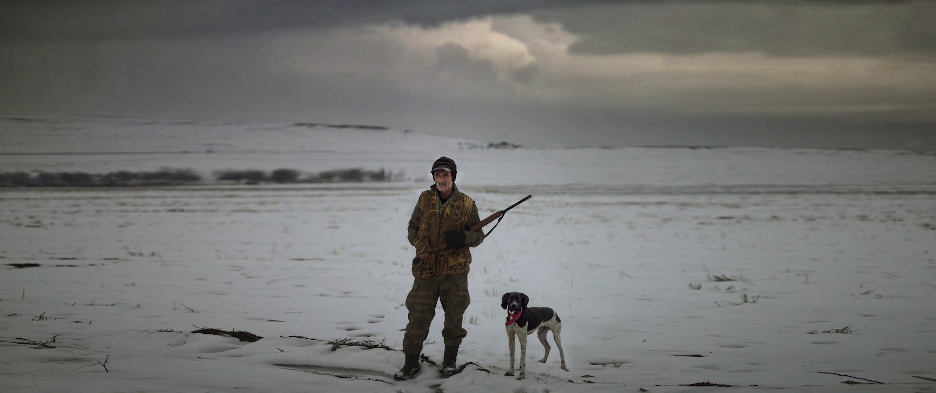 About Dry Grasses (2024) —  shot,  lighting