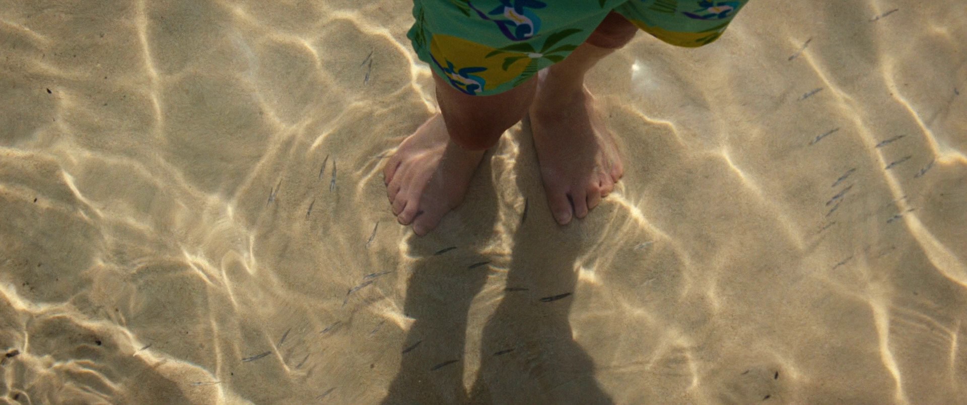 Old (2021) —  shot,  lighting