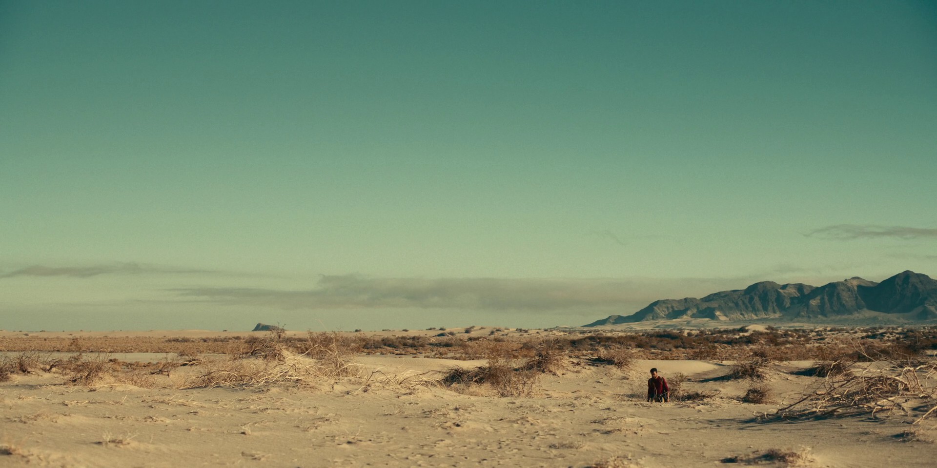 Everybody Knows This Is Nowhere (2021) —  shot,  lighting