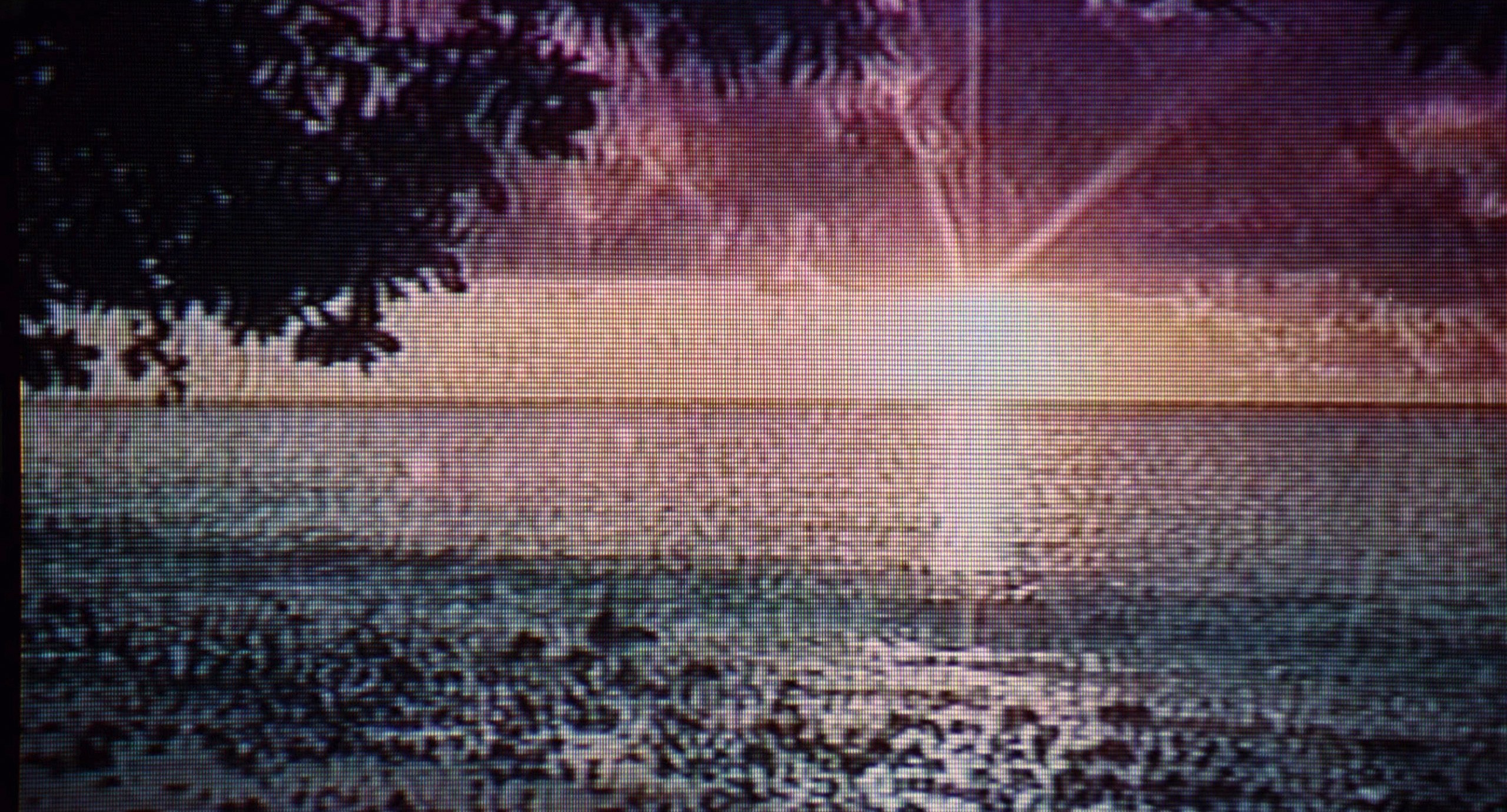 Safe (1995) —  shot,  lighting