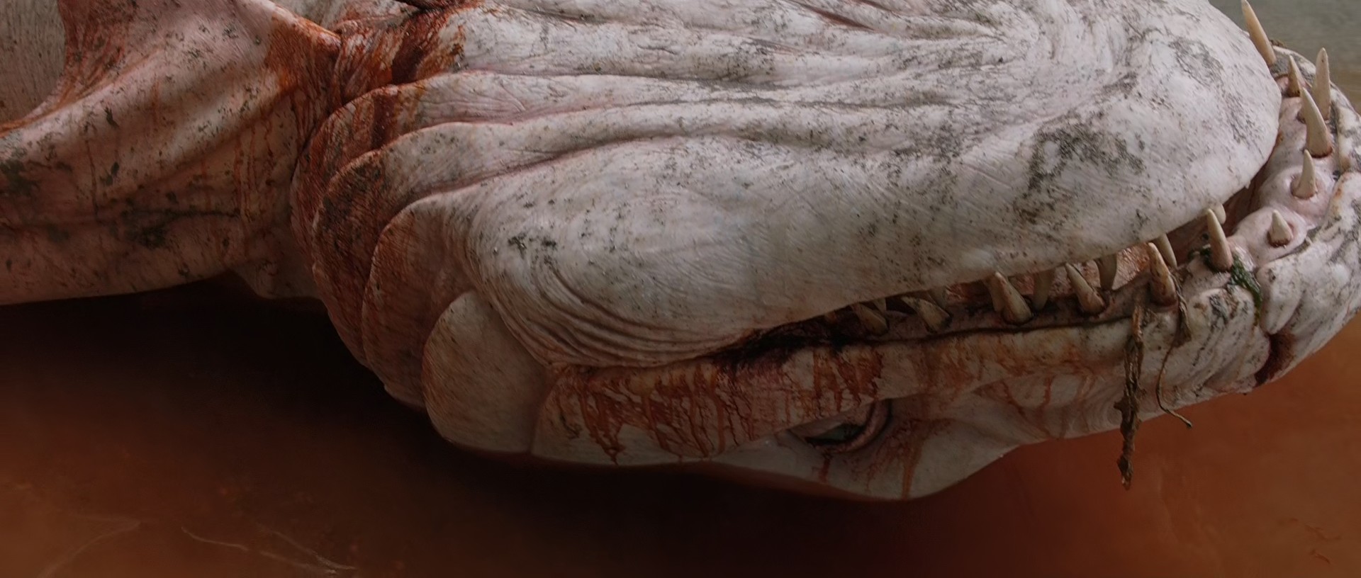 Tale of Tales (2015) —  shot,  lighting