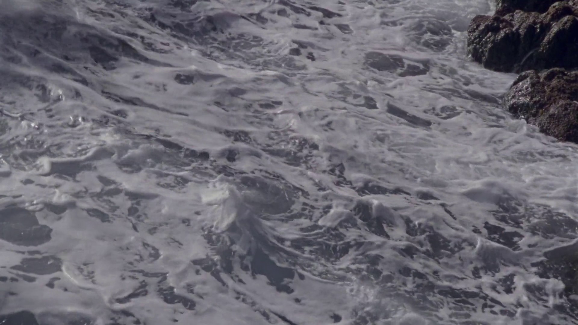 KRÓL ŻYCIA (2022) —  shot,  lighting