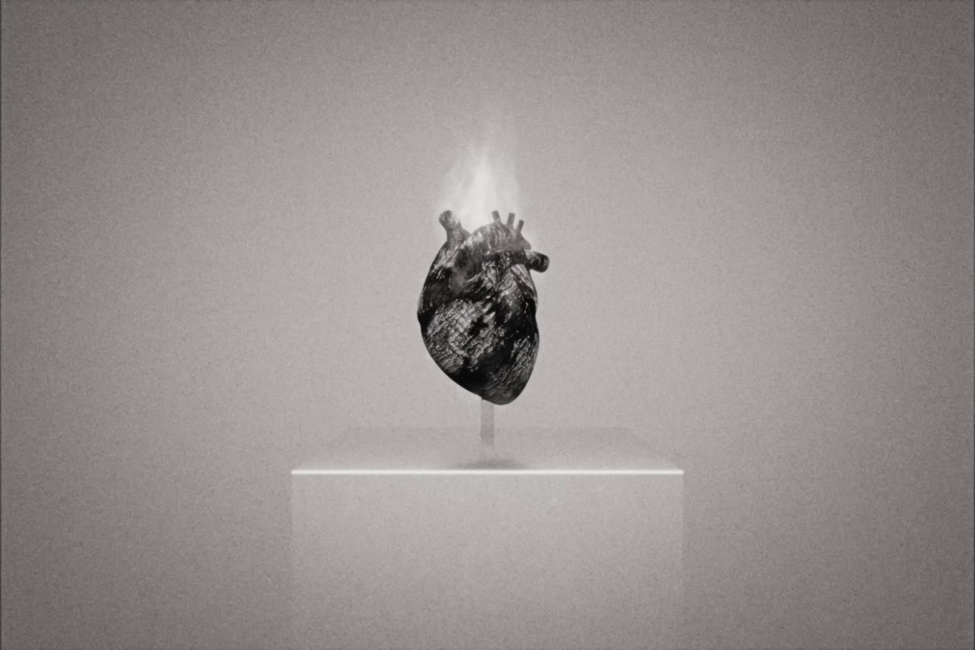 Waldbrand (2024) —  shot,  lighting