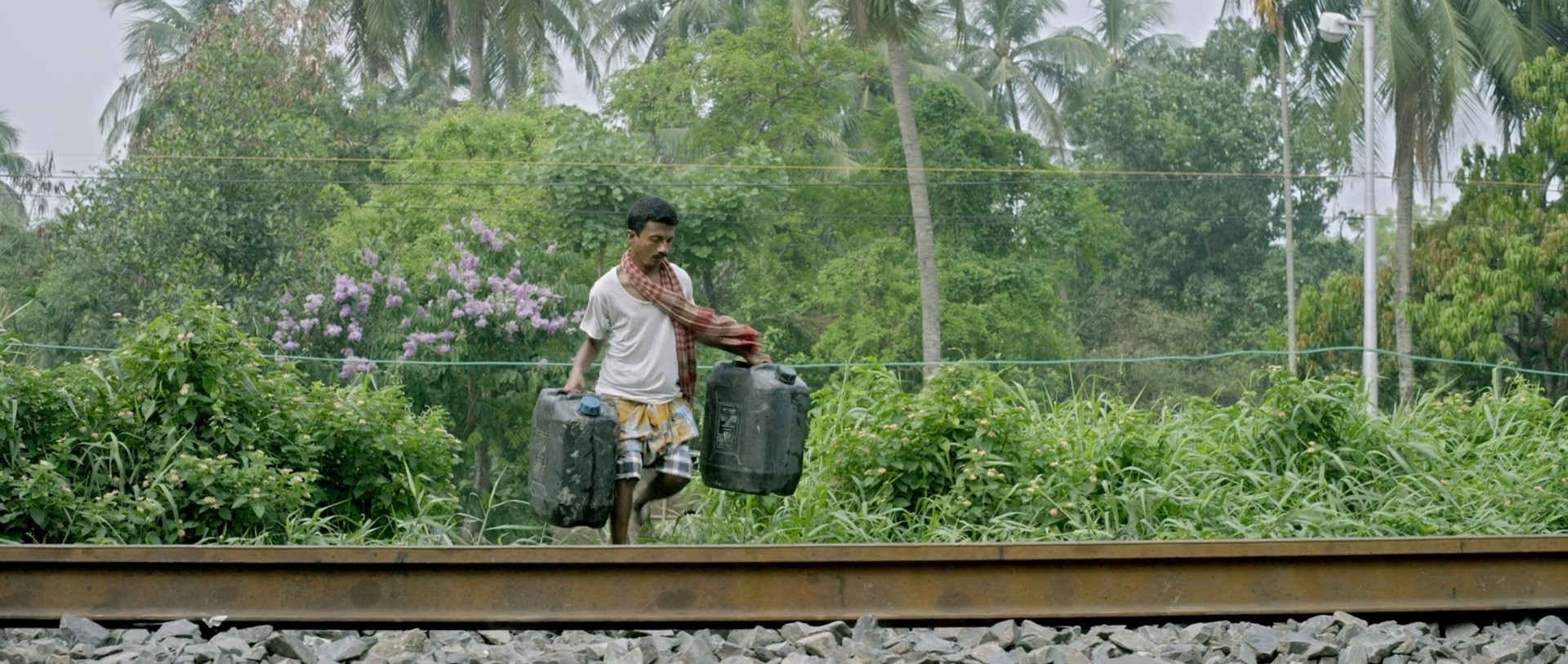 Cholai (2016) —  shot,  lighting