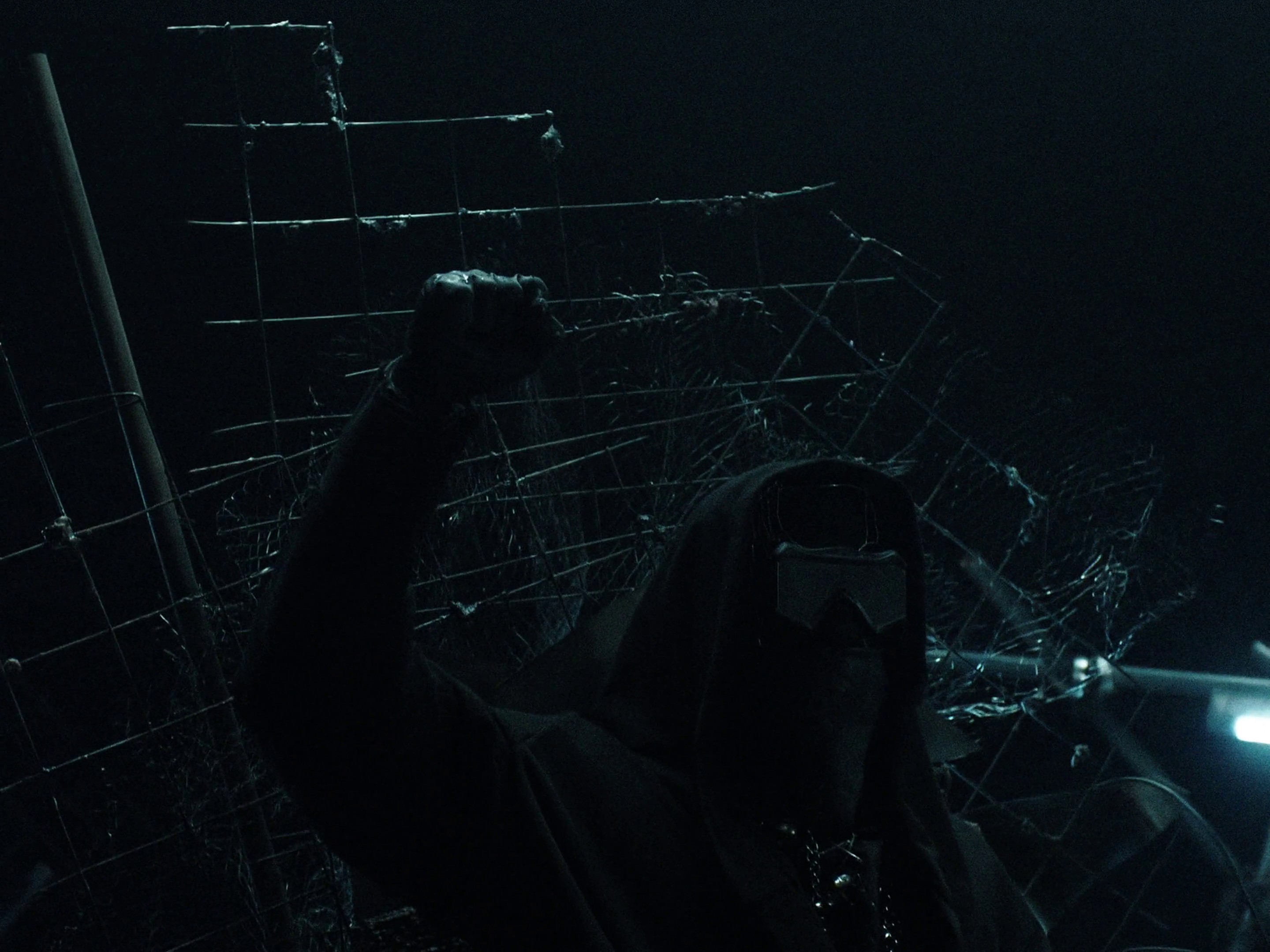 Roses (2020) —  shot,  lighting