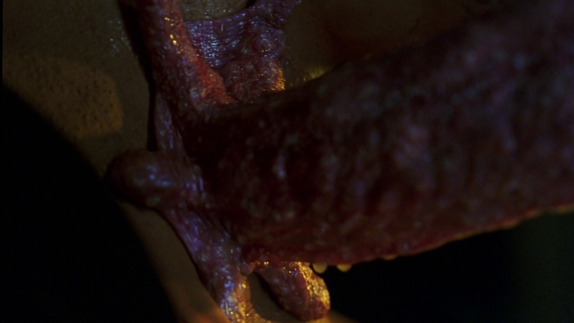 Blade II (2002) —  shot,  lighting