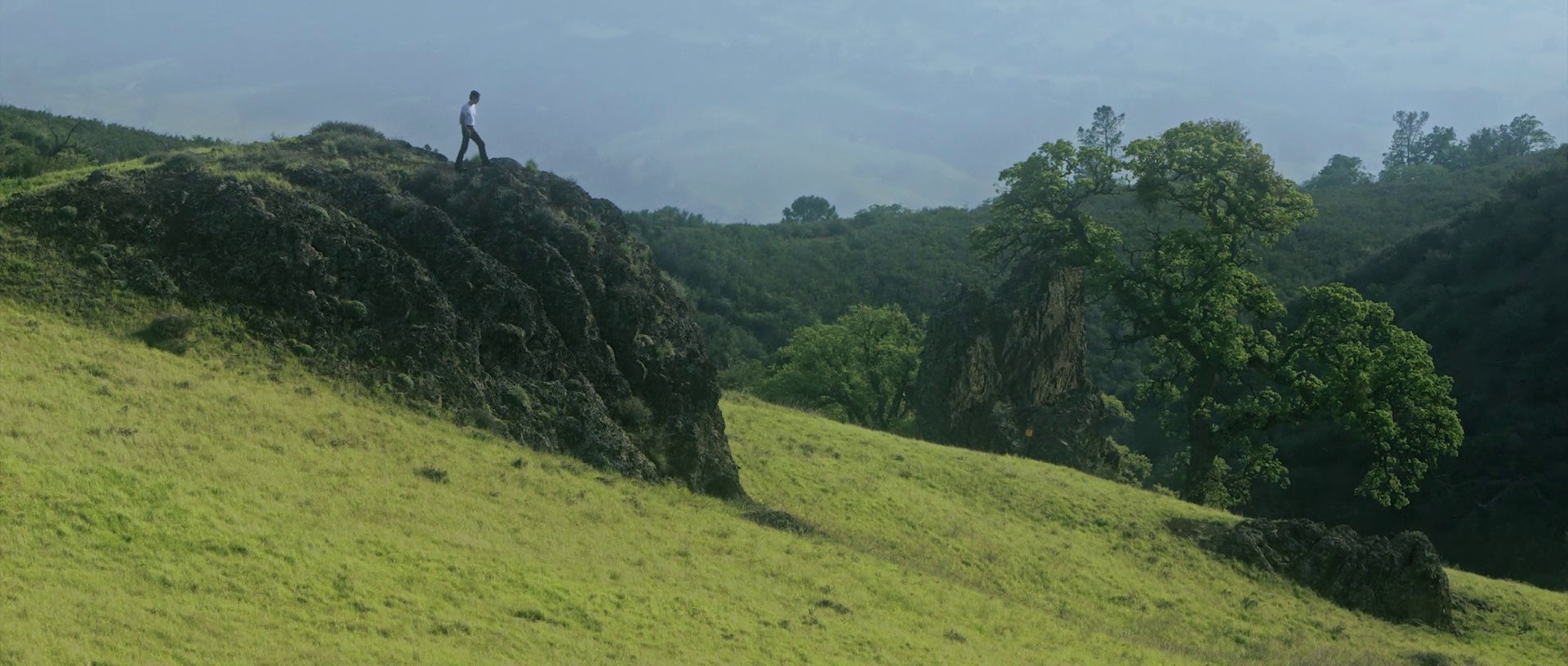 Love is a War (2017) —  shot,  lighting