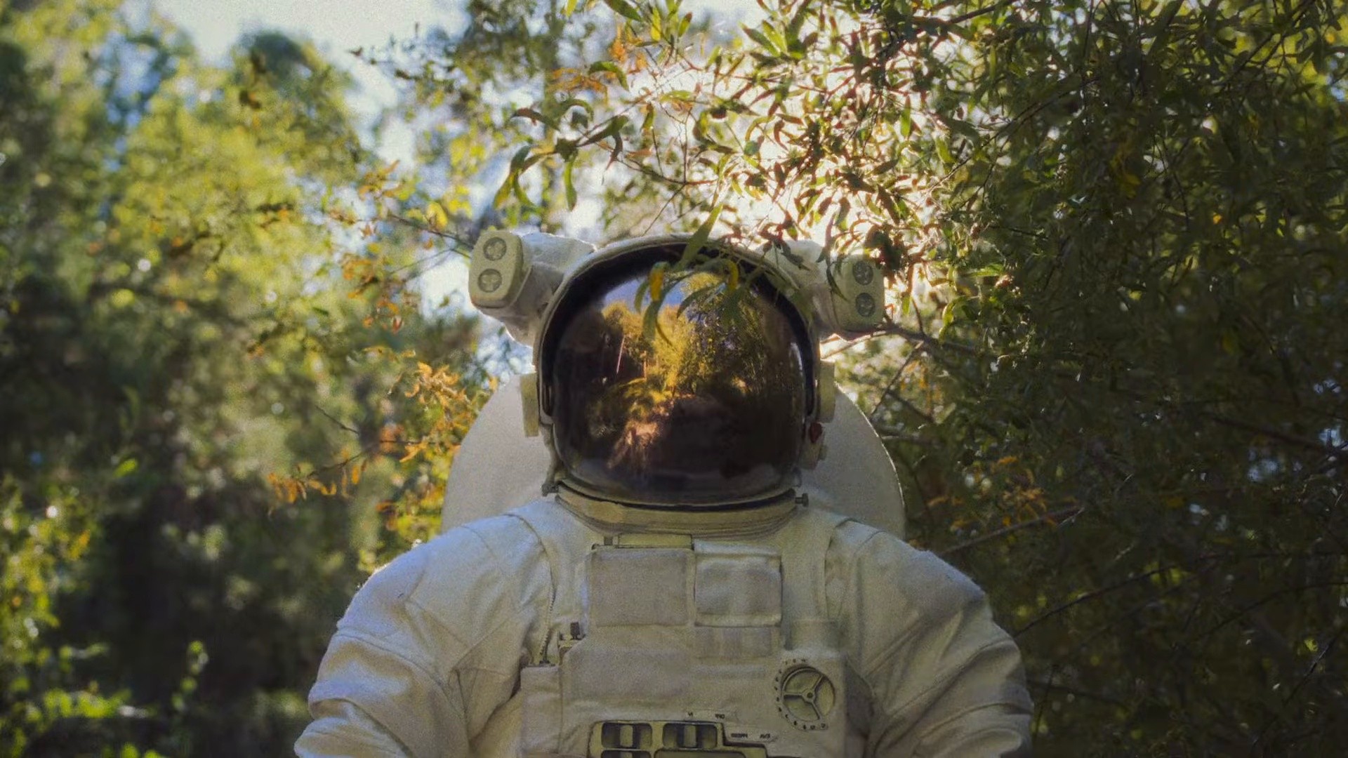 Emily Said (2025) —  shot,  lighting