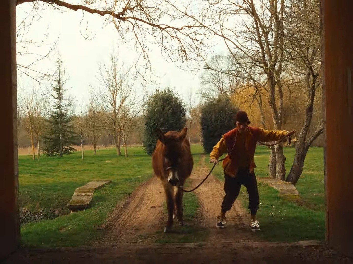 Le roi Soleil (2025) —  shot,  lighting