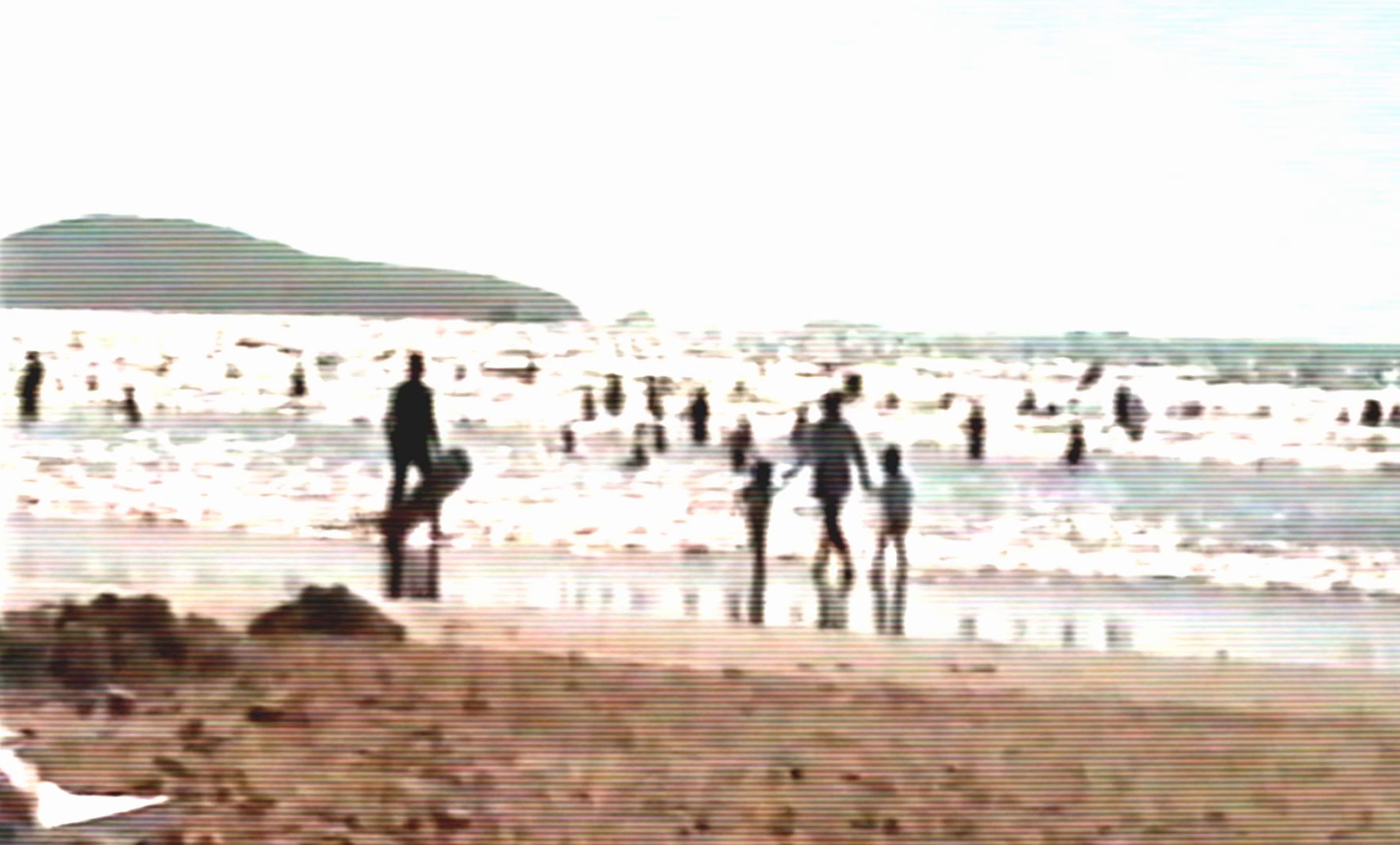 Dashboard Mary (2026) —  shot,  lighting