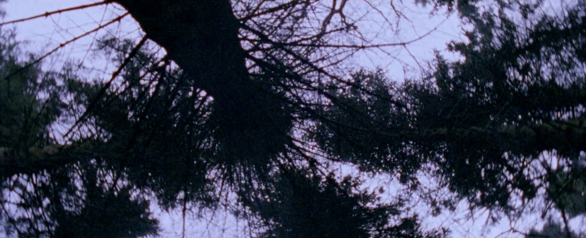 Half Light (2014) —  shot,  lighting