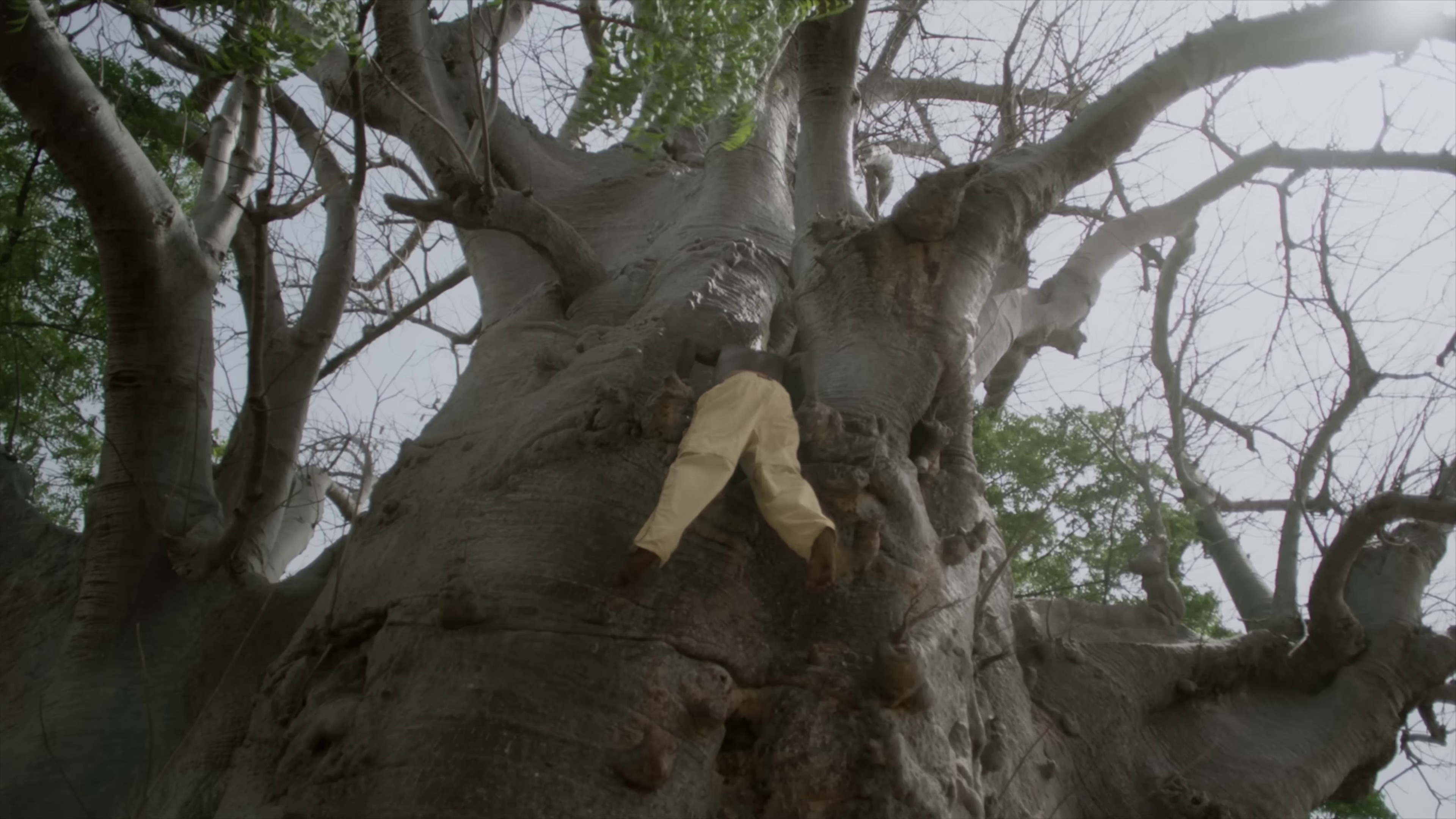 Alc (2023) —  shot,  lighting