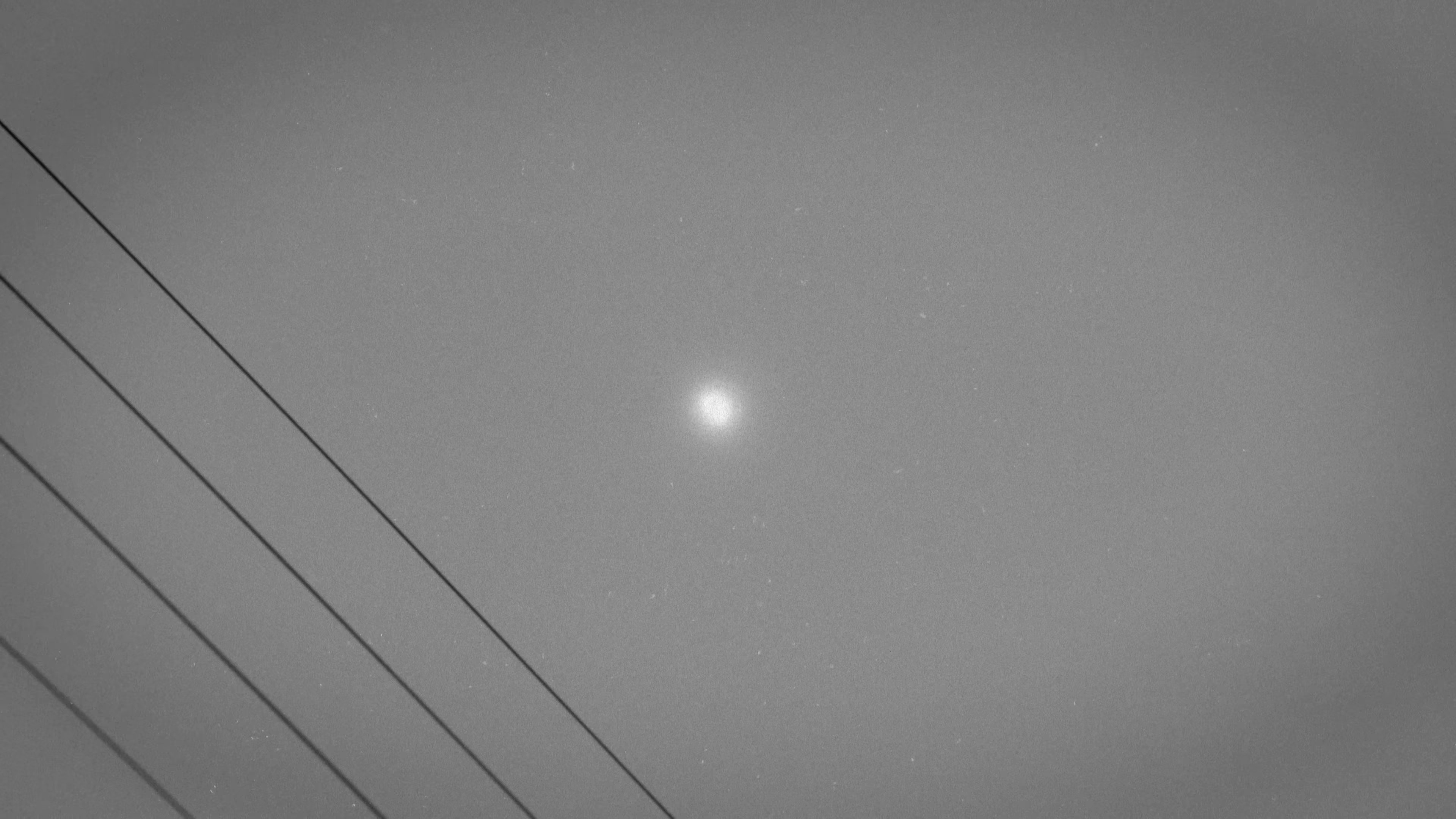 Instincts (2024) —  shot,  lighting