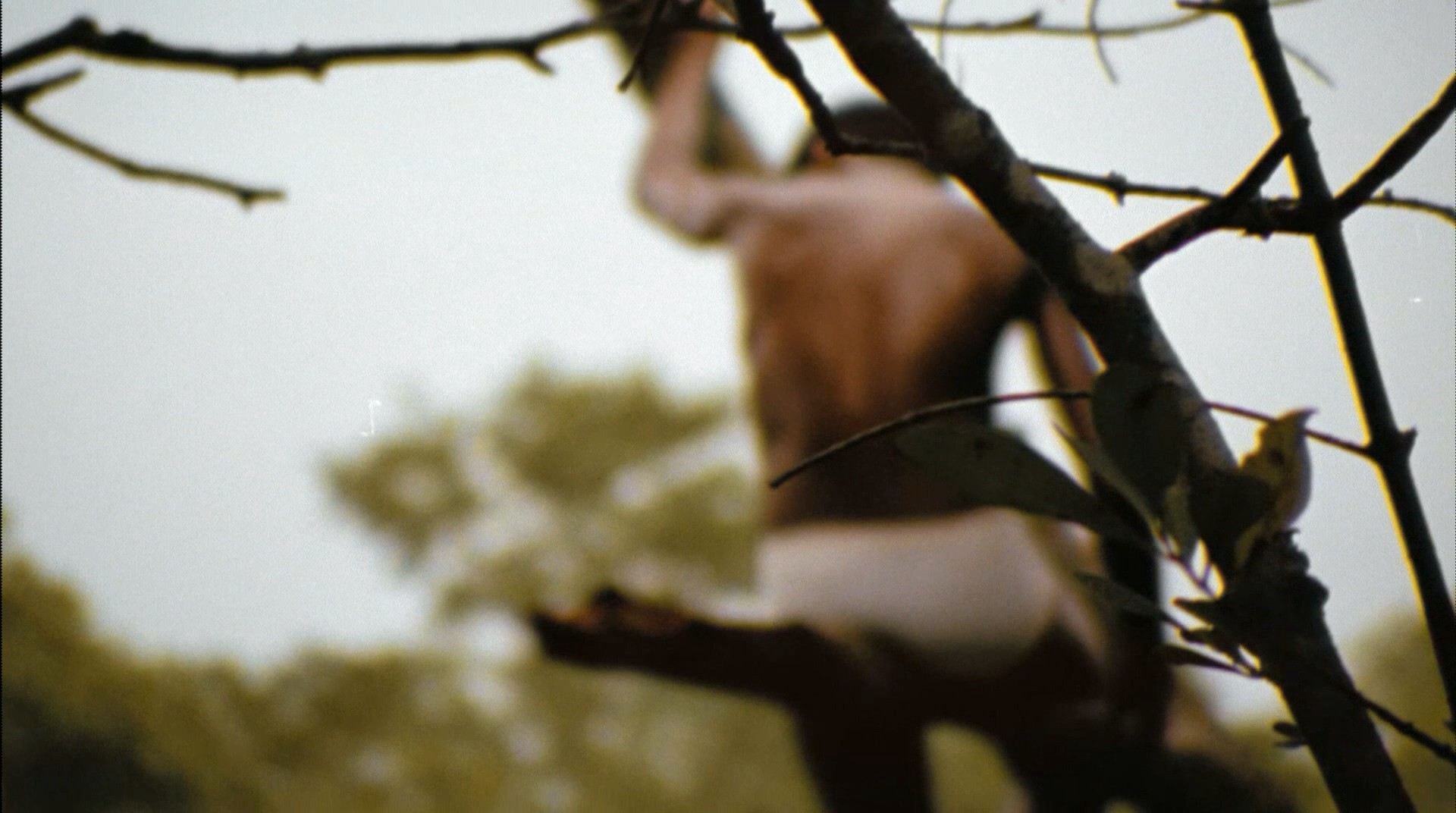 City of God (2002) —  shot,  lighting