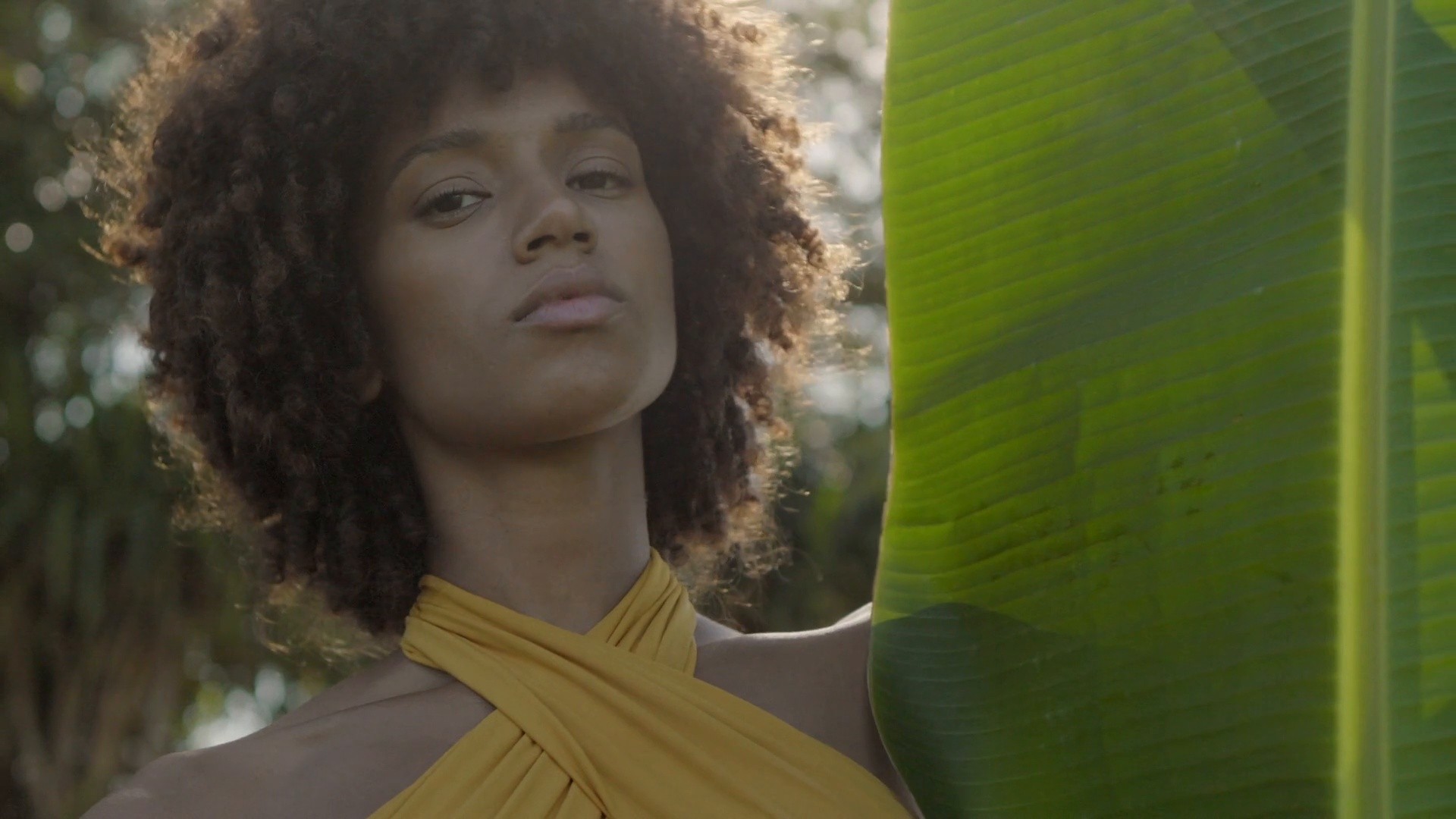 Tigra the label (2024) —  shot,  lighting