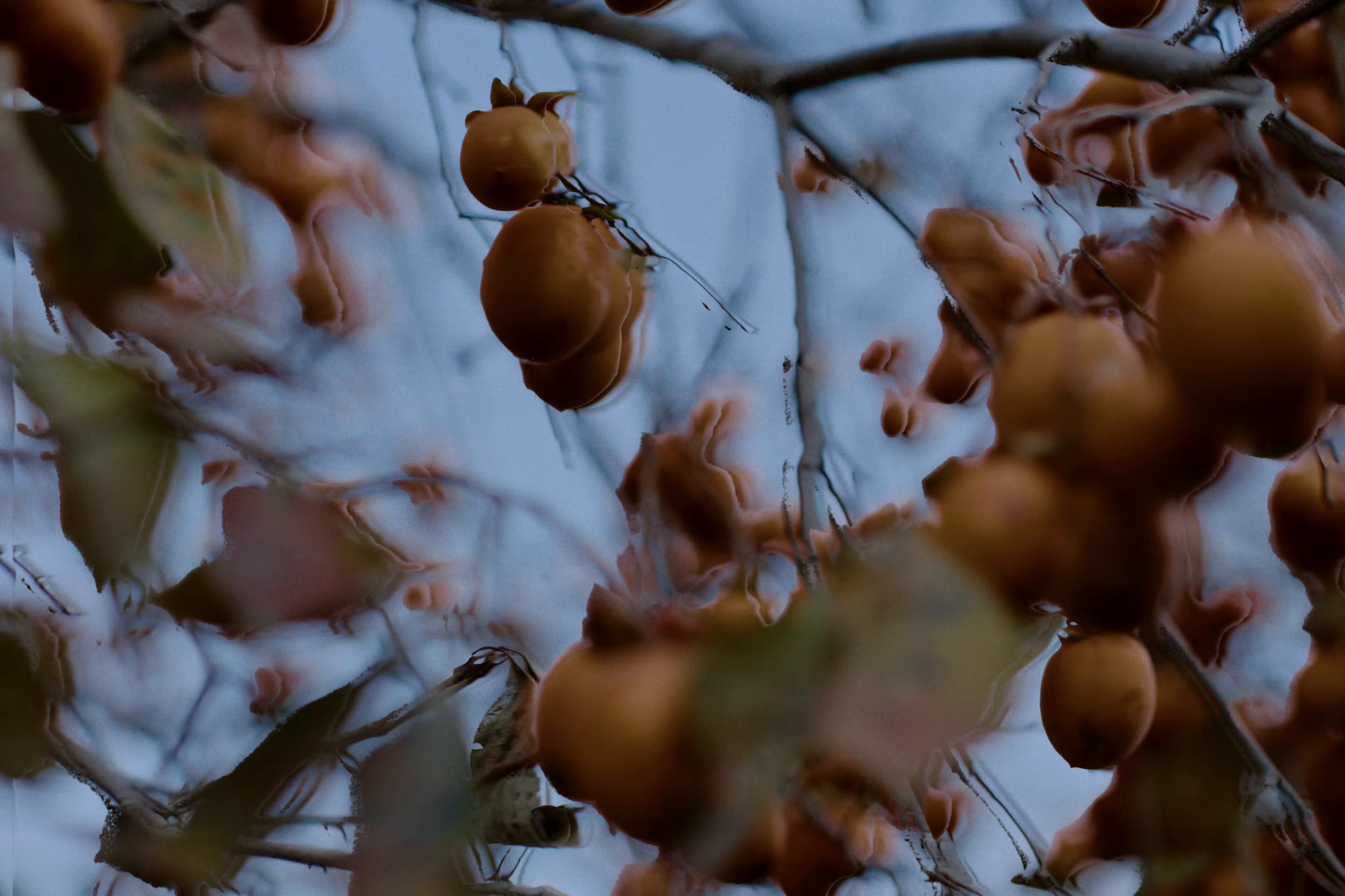 ADHD (2025) —  shot,  lighting