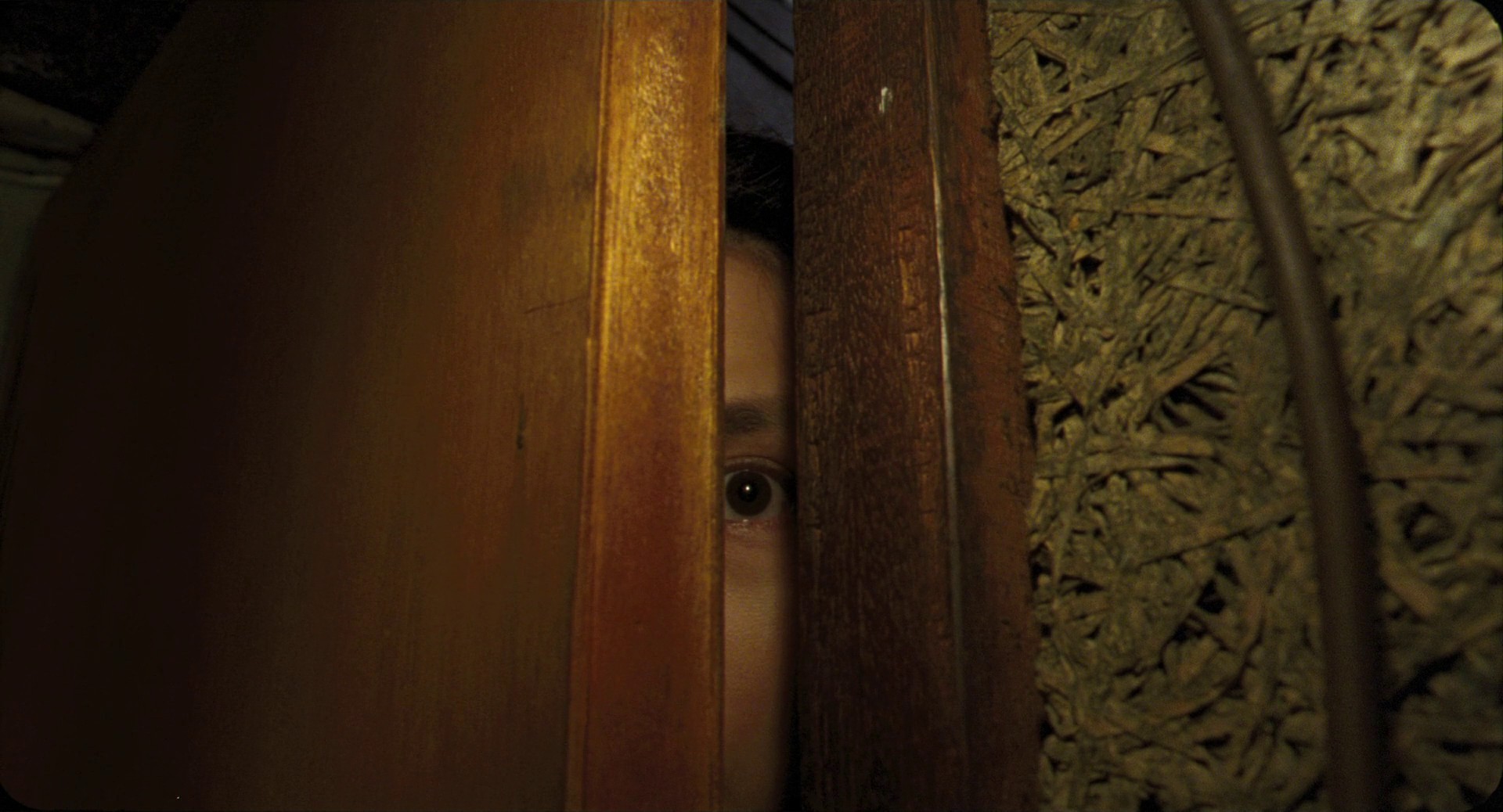 Goodbye, Dragon Inn (2003) —  shot,  lighting