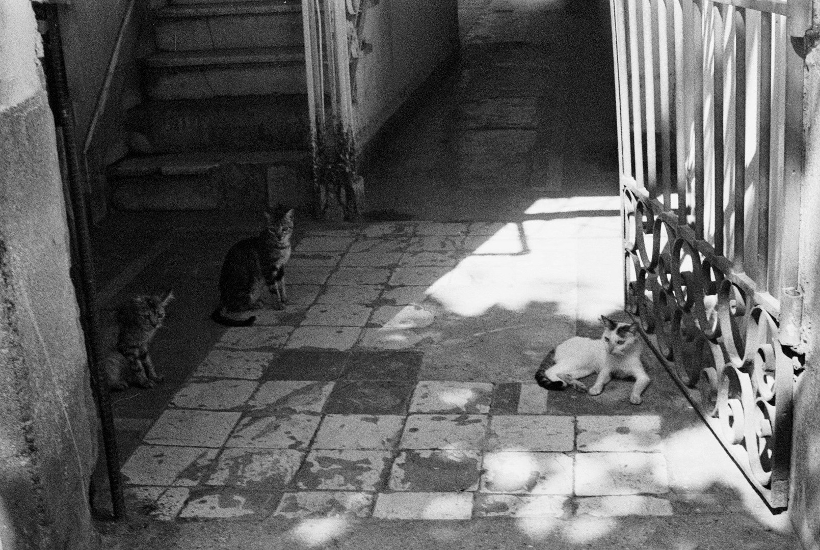 Oceans Are the Real Continents (2025) —  shot,  lighting