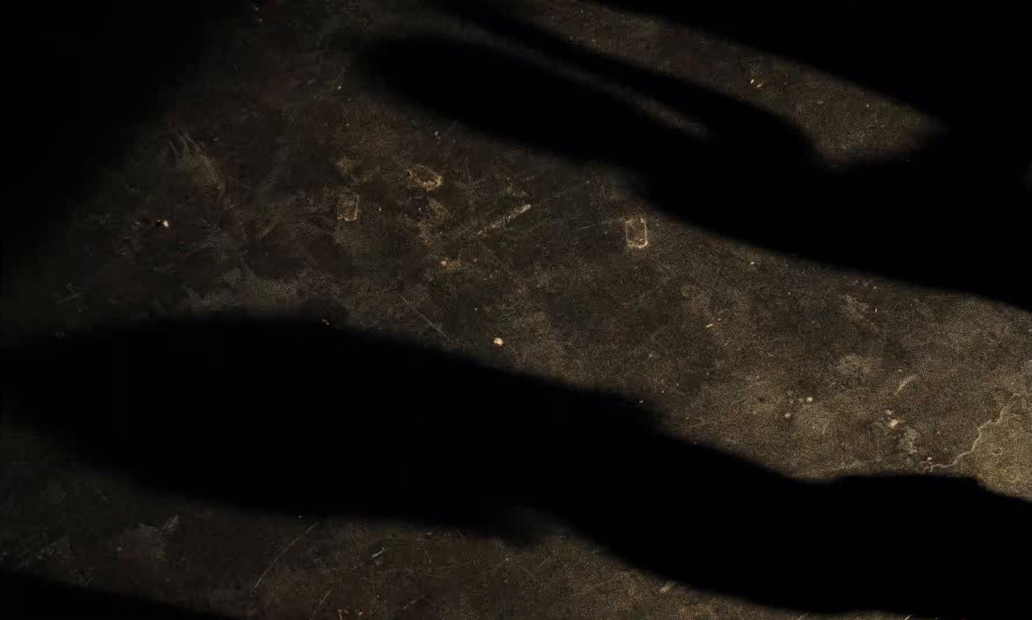 PARAPLUI (2025) —  shot,  lighting