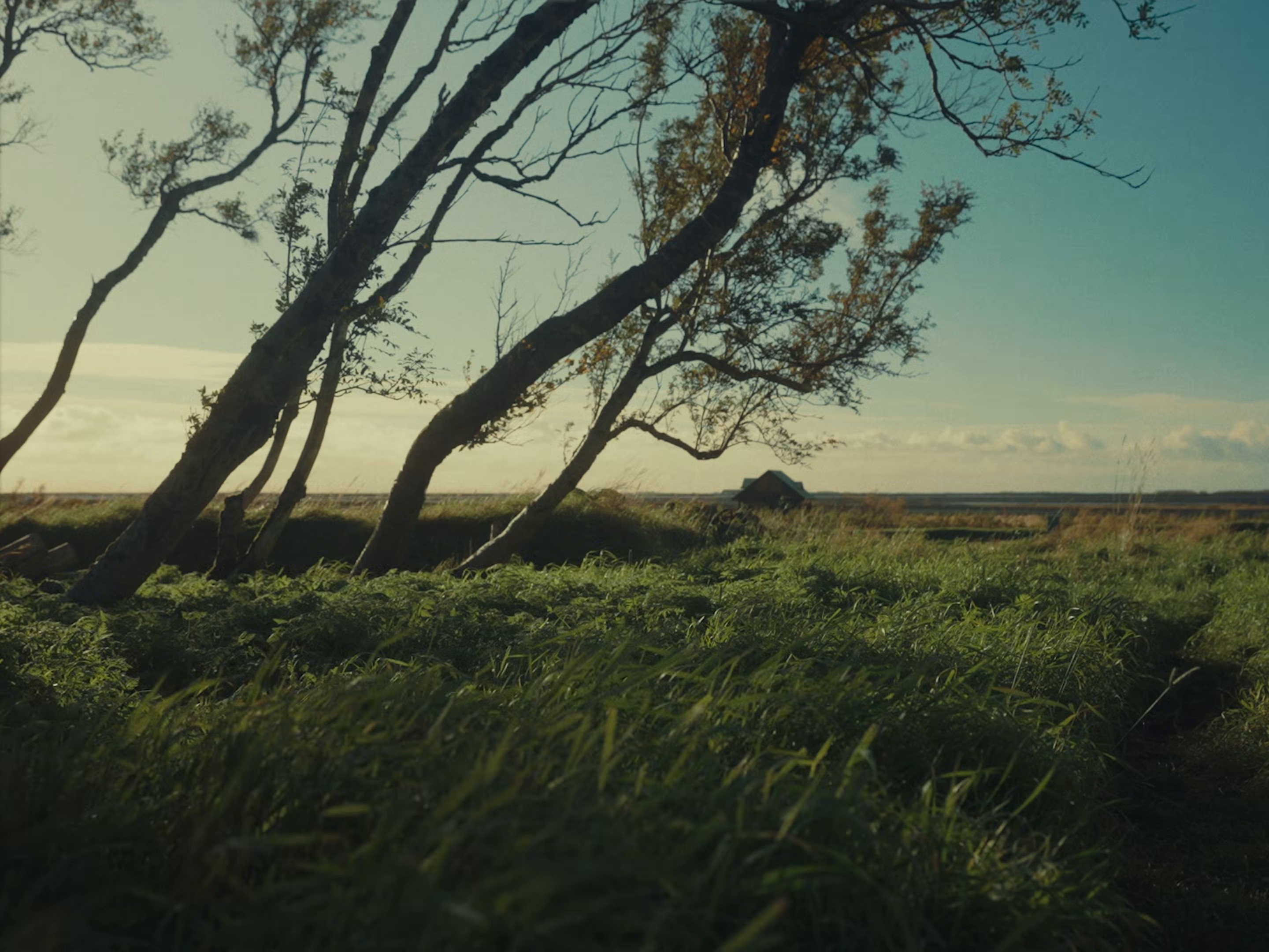 DEAD MEN TELL NO TALES (2025) —  shot,  lighting