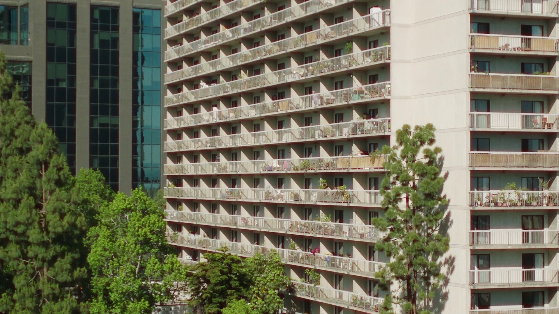 Settled In (2020) —  shot,  lighting