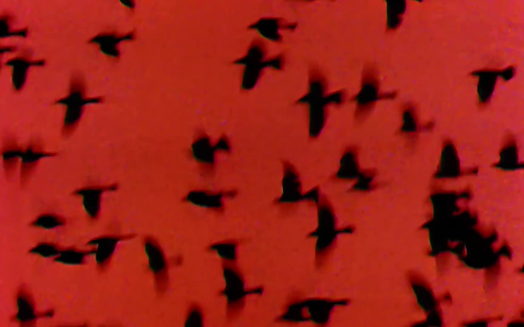 Too Young To Die (1993) —  shot,  lighting