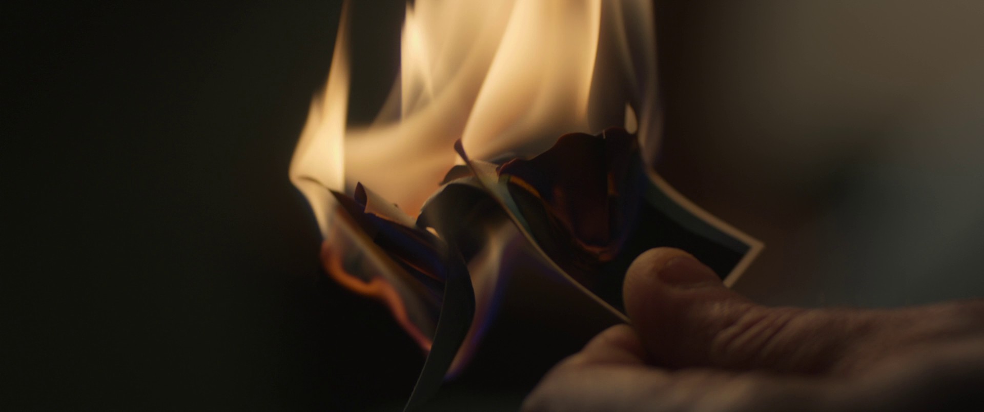 You Were Never Really Here (2018) —  shot,  lighting