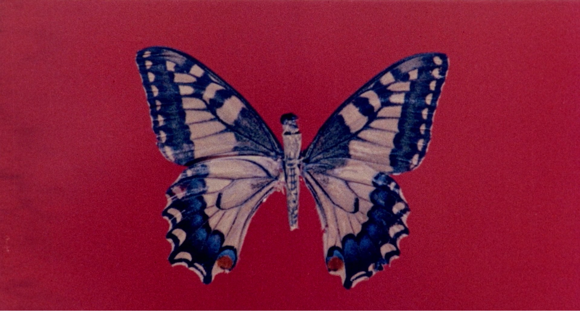 Four Times That Night (1971) —  shot,  lighting