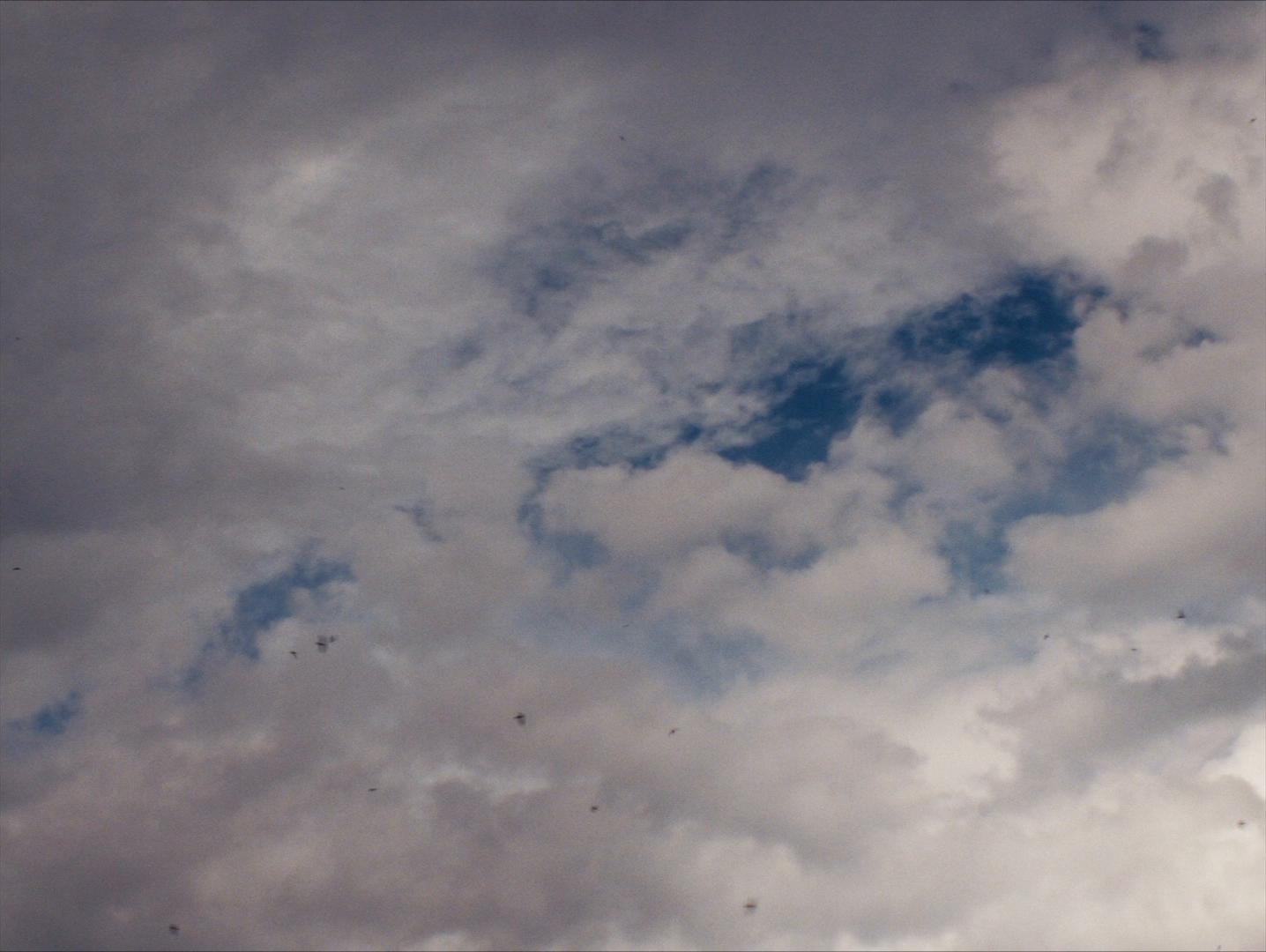 Wild Diamond (2024) —  shot,  lighting