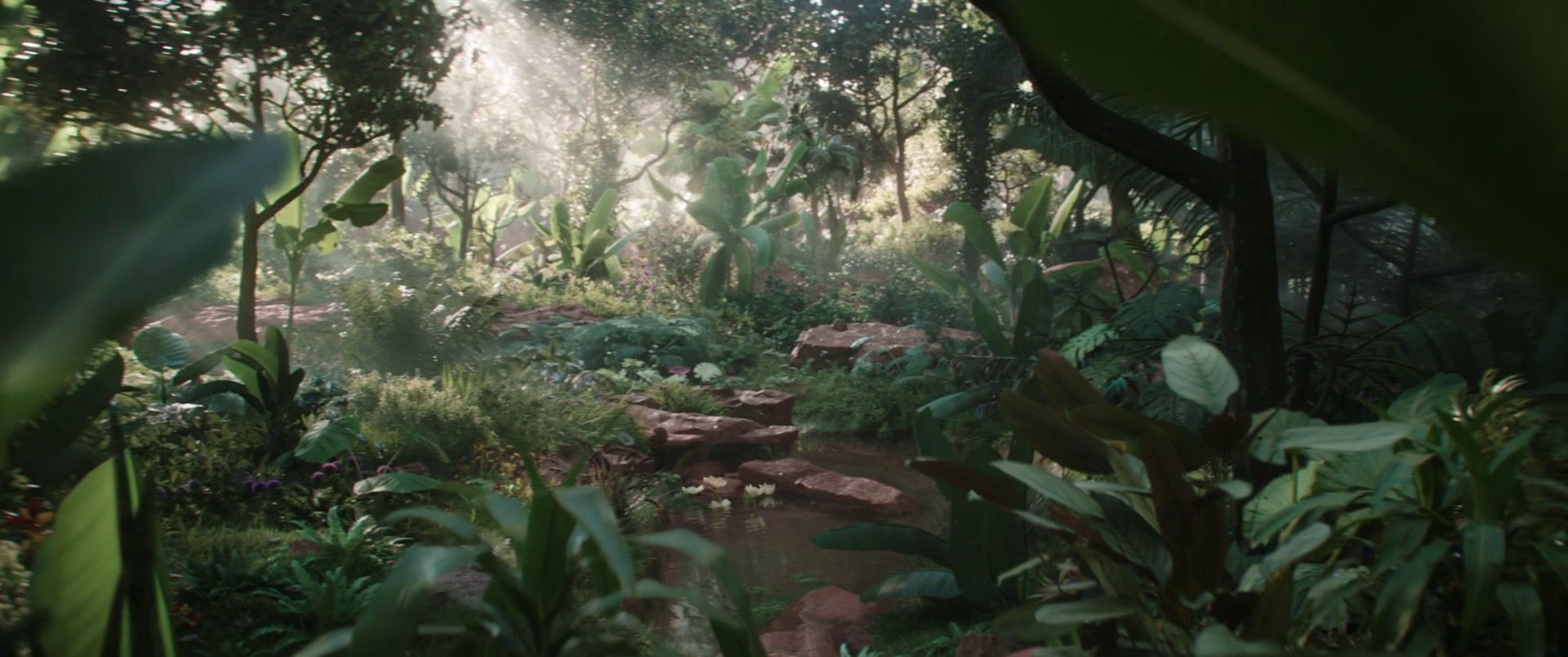 Thor: Love and Thunder (2022) —  shot,  lighting