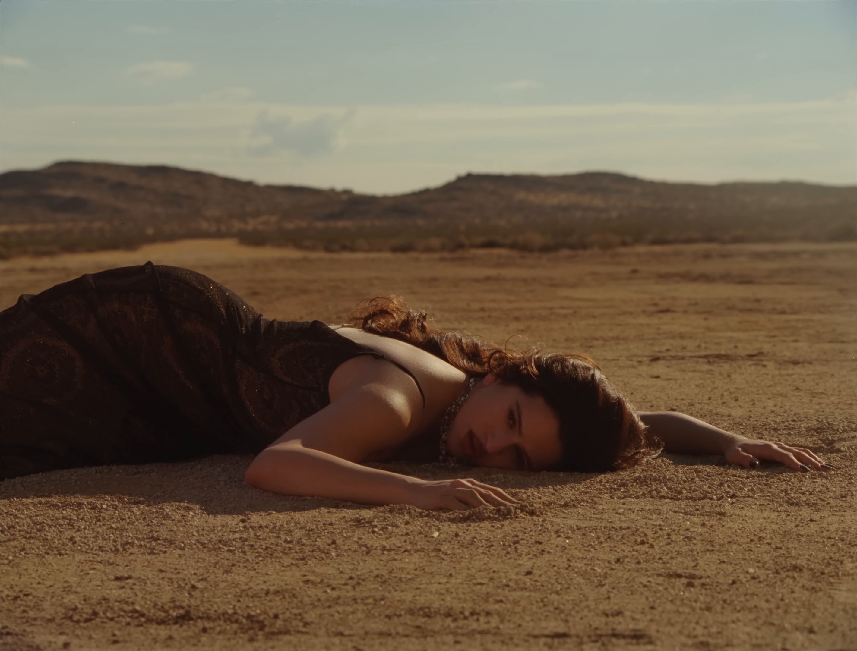 Sauvignon Blanc (2026) —  shot,  lighting