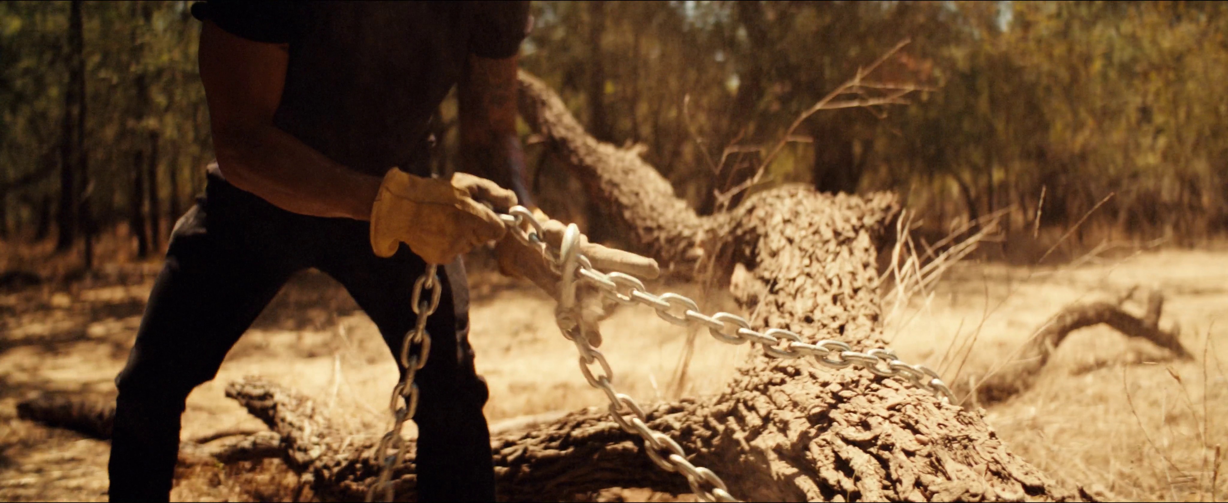 Ford F-150 | Revival (2024) —  shot,  lighting