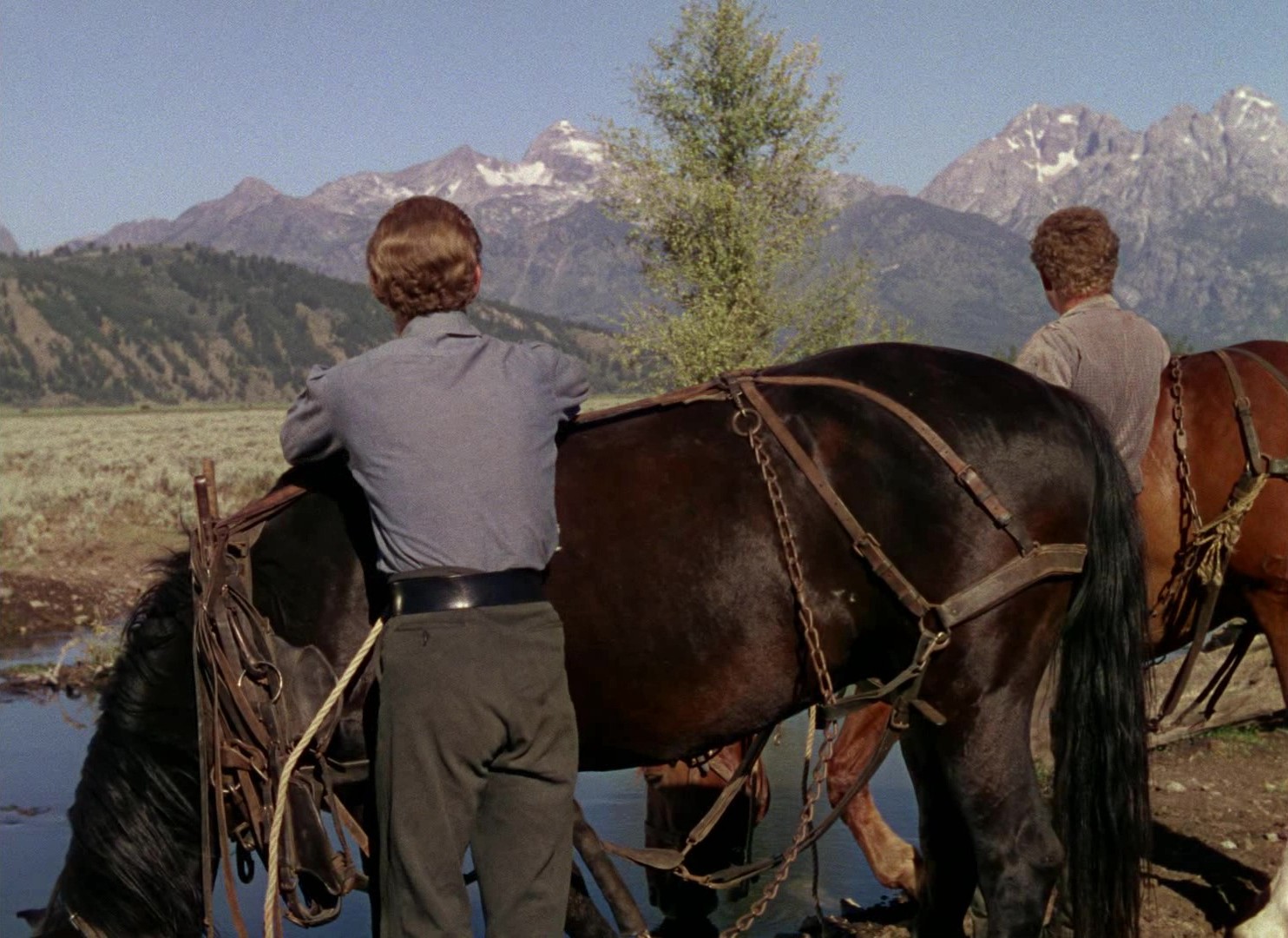 Shane (1953) —  shot,  lighting