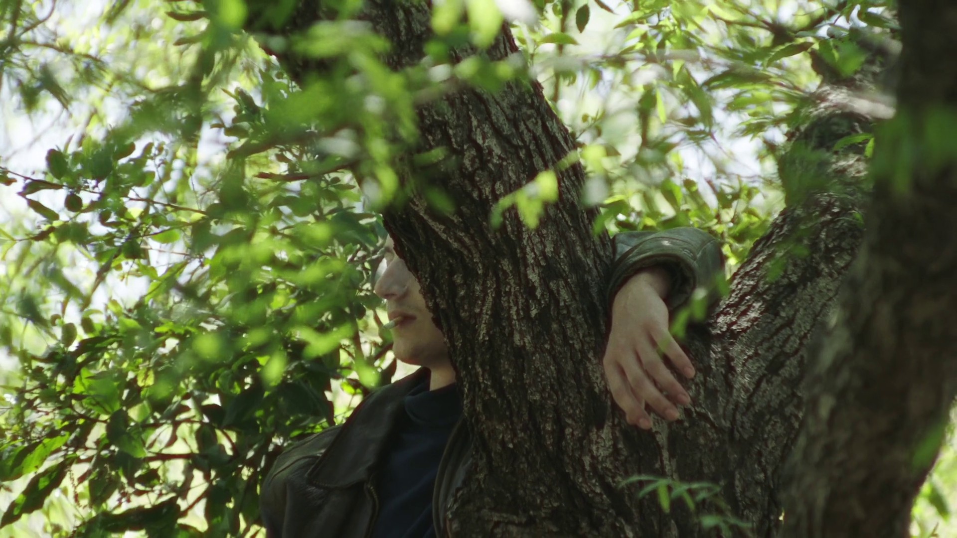 Settled In (2020) —  shot,  lighting