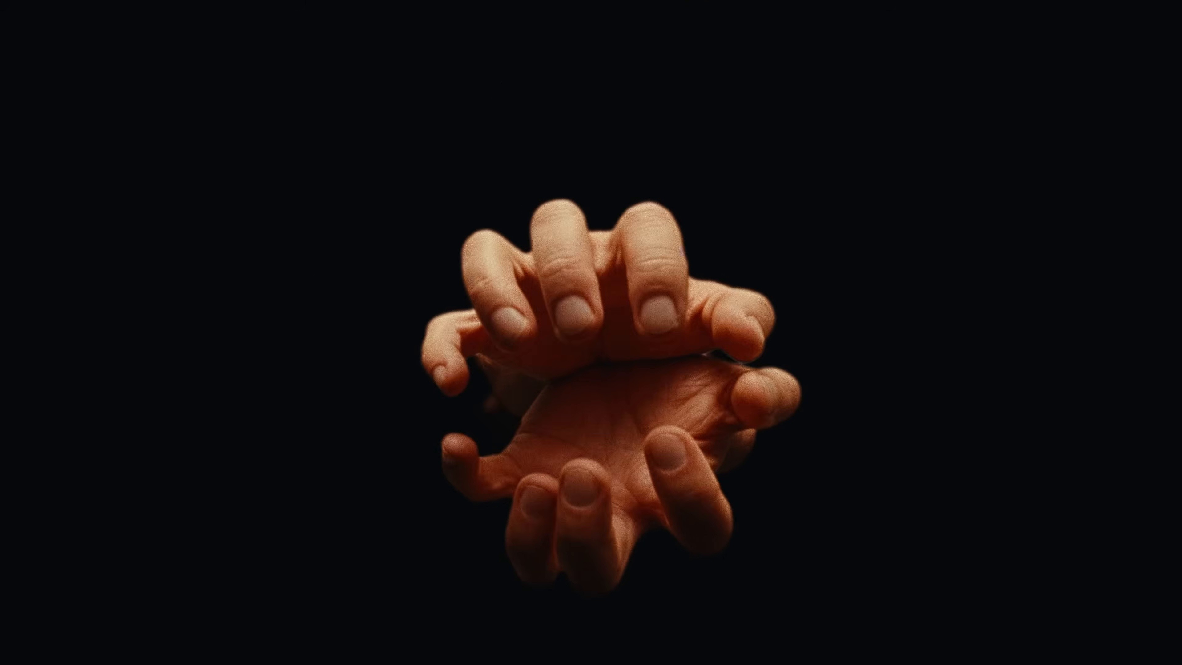 Capuche (2026) —  shot,  lighting