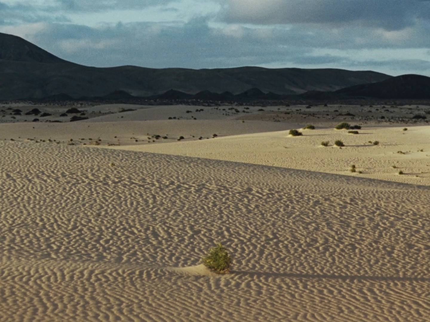 ROWSE 'Does the ocean know the sea exists?' (2024) —  shot,  lighting