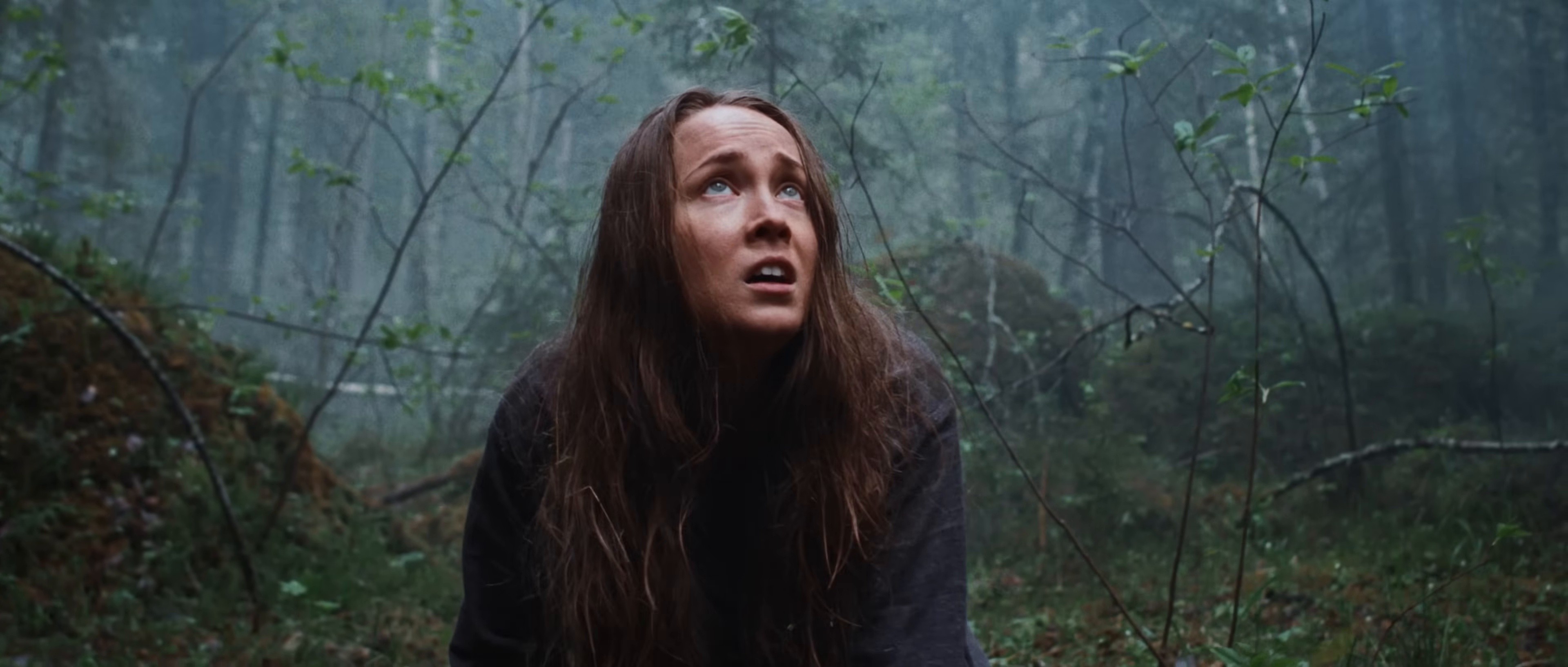 Alucarda (2025) —  shot,  lighting