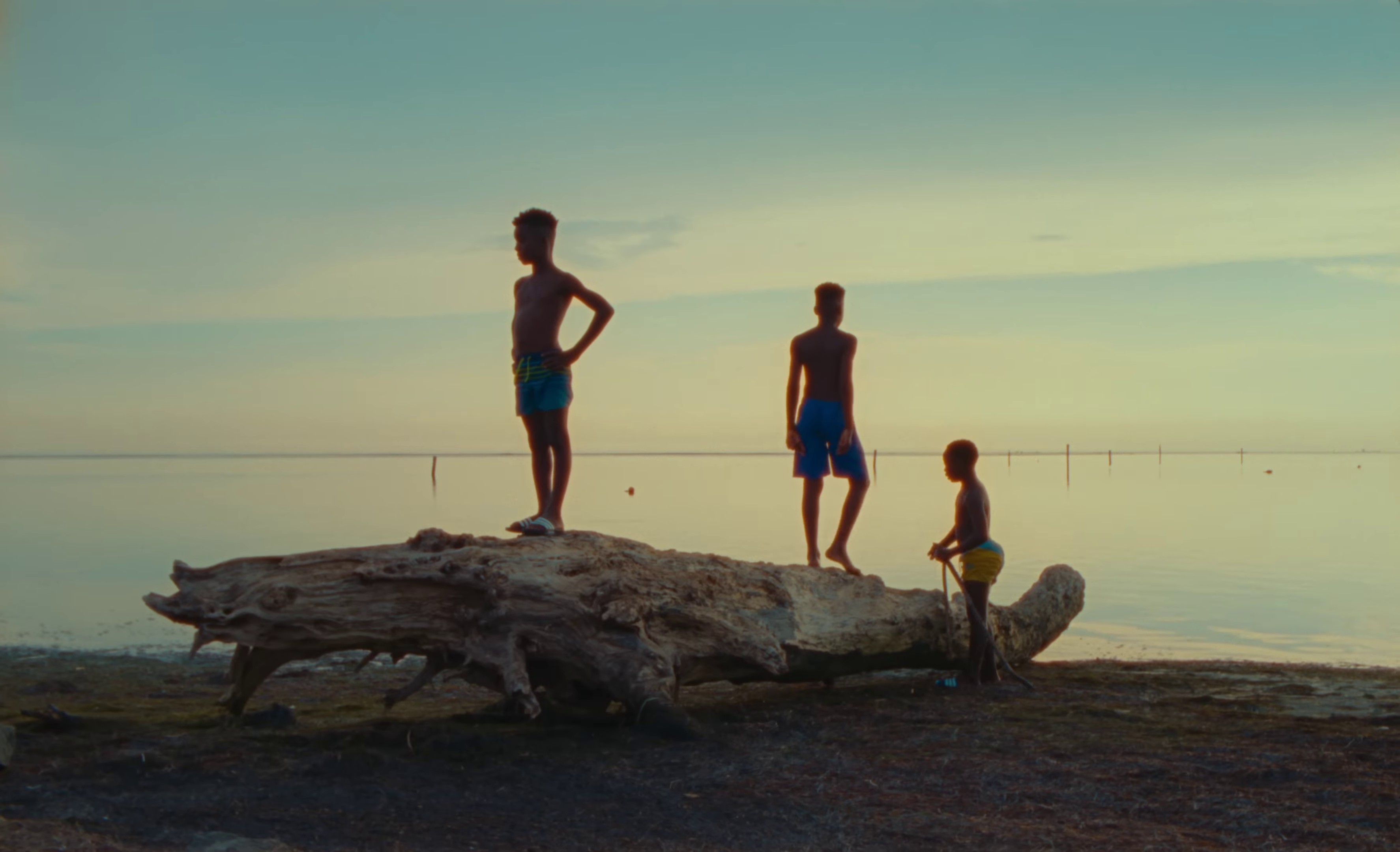 Captain Ants (2023) —  shot,  lighting